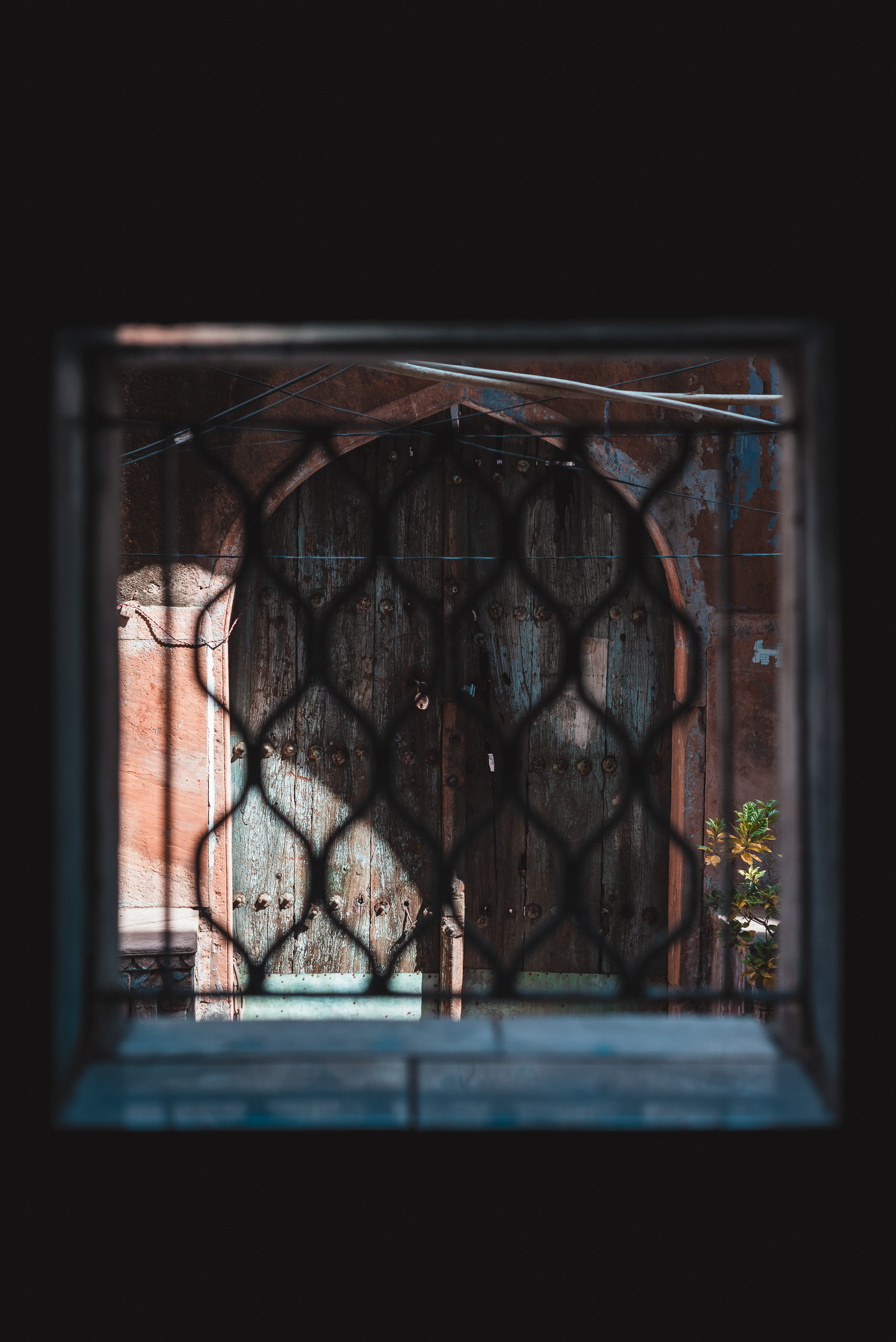 India - Sony A7R + Zeiss C Sonnar 50mm f/1.5 ZM