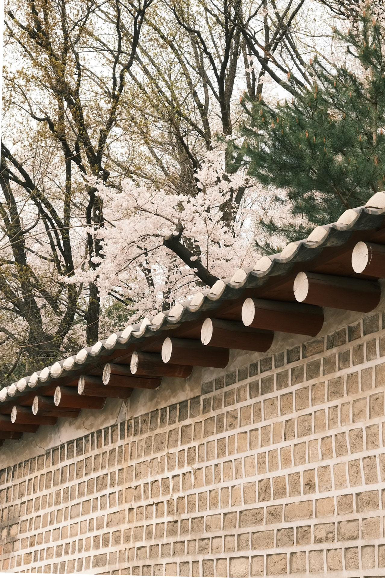 Seoul, Korea - Fujifilm X-E4