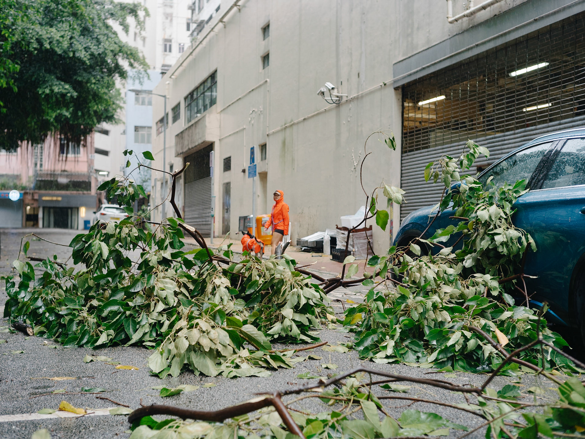 Typhoon aftermath, Hong Kong - Leica SL2-S