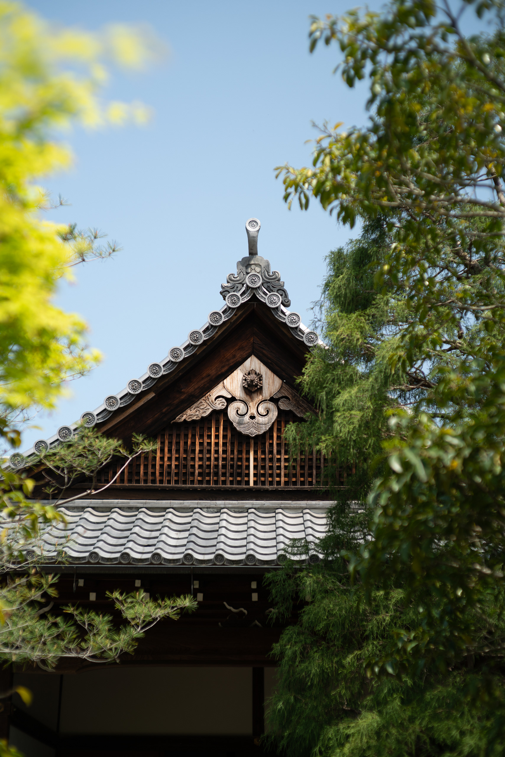 Japan - Sony A7R + Zeiss C Sonnar 50mm f/1.5 ZM