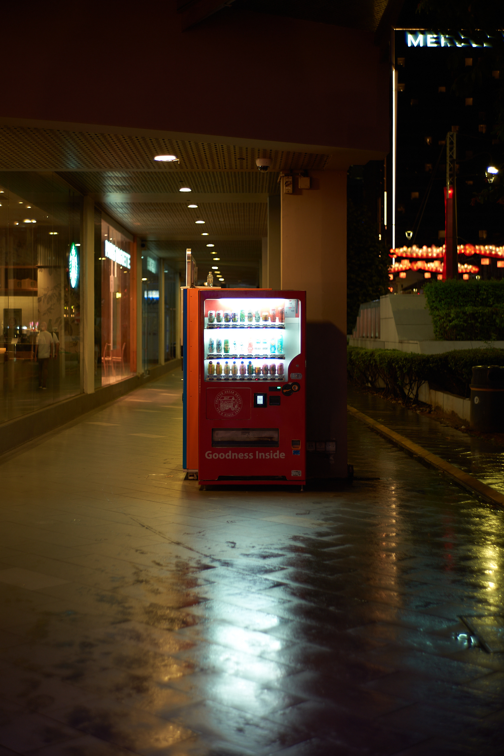 Singapore - Leica M10-P Reporter + Zeiss C Biogon 35mm F/2.8