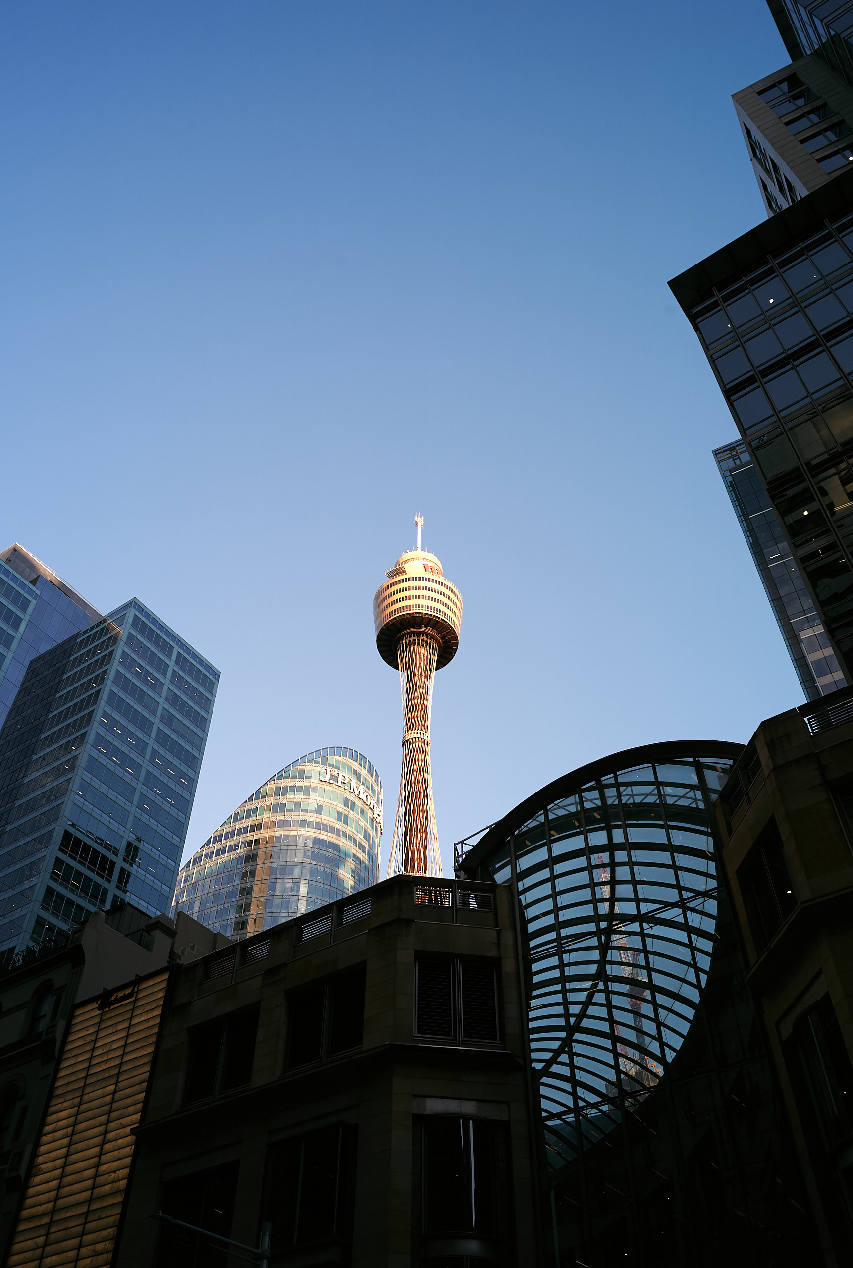 Sydney - Leica M8 + Zeiss C Sonnar 50mm f/1.5