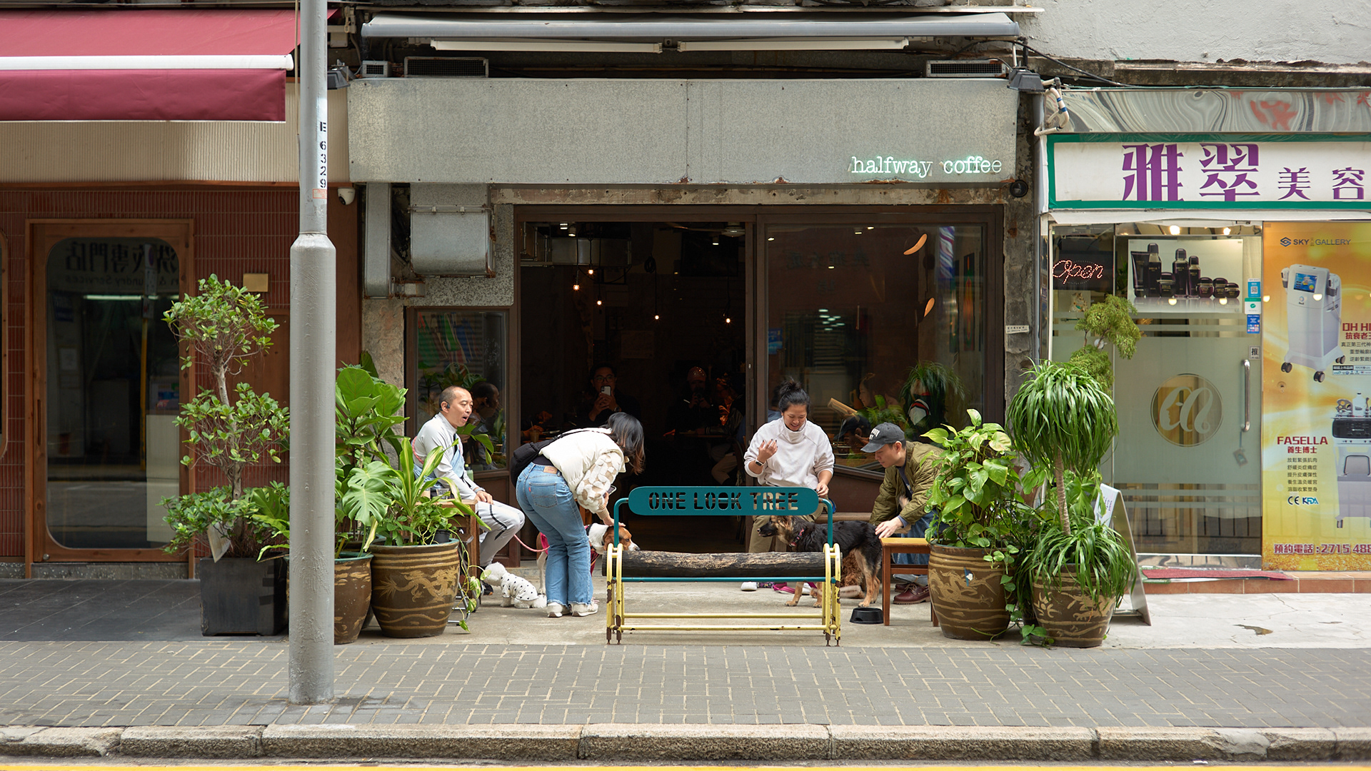 Hong Kong - Leica M10-P Reporter + Zeiss C Sonnar 1.5/50 ZM
