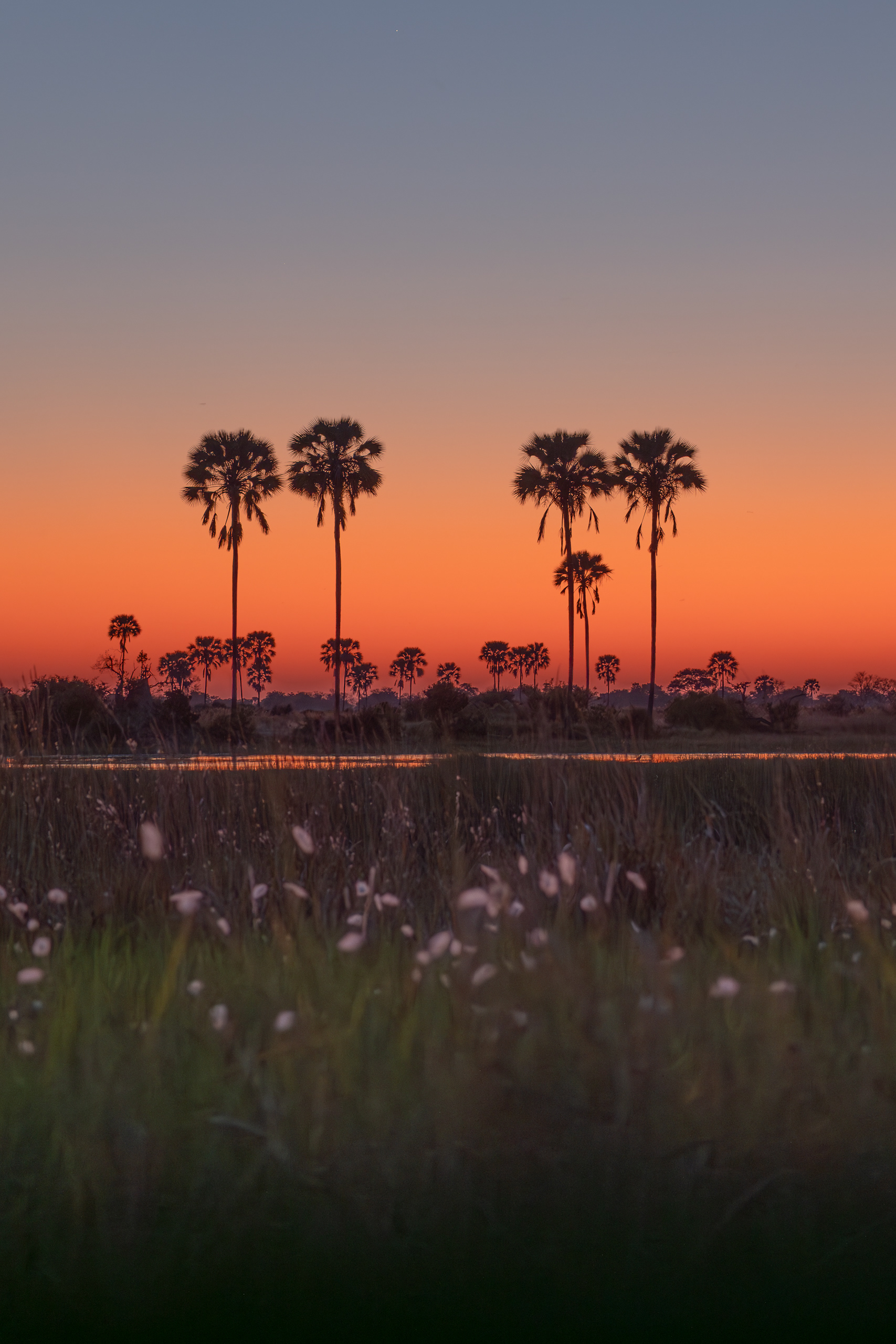 Sunset over Okavango Delta, Botswana - Leica SL2-S + Vario-Elmar 100-400mm