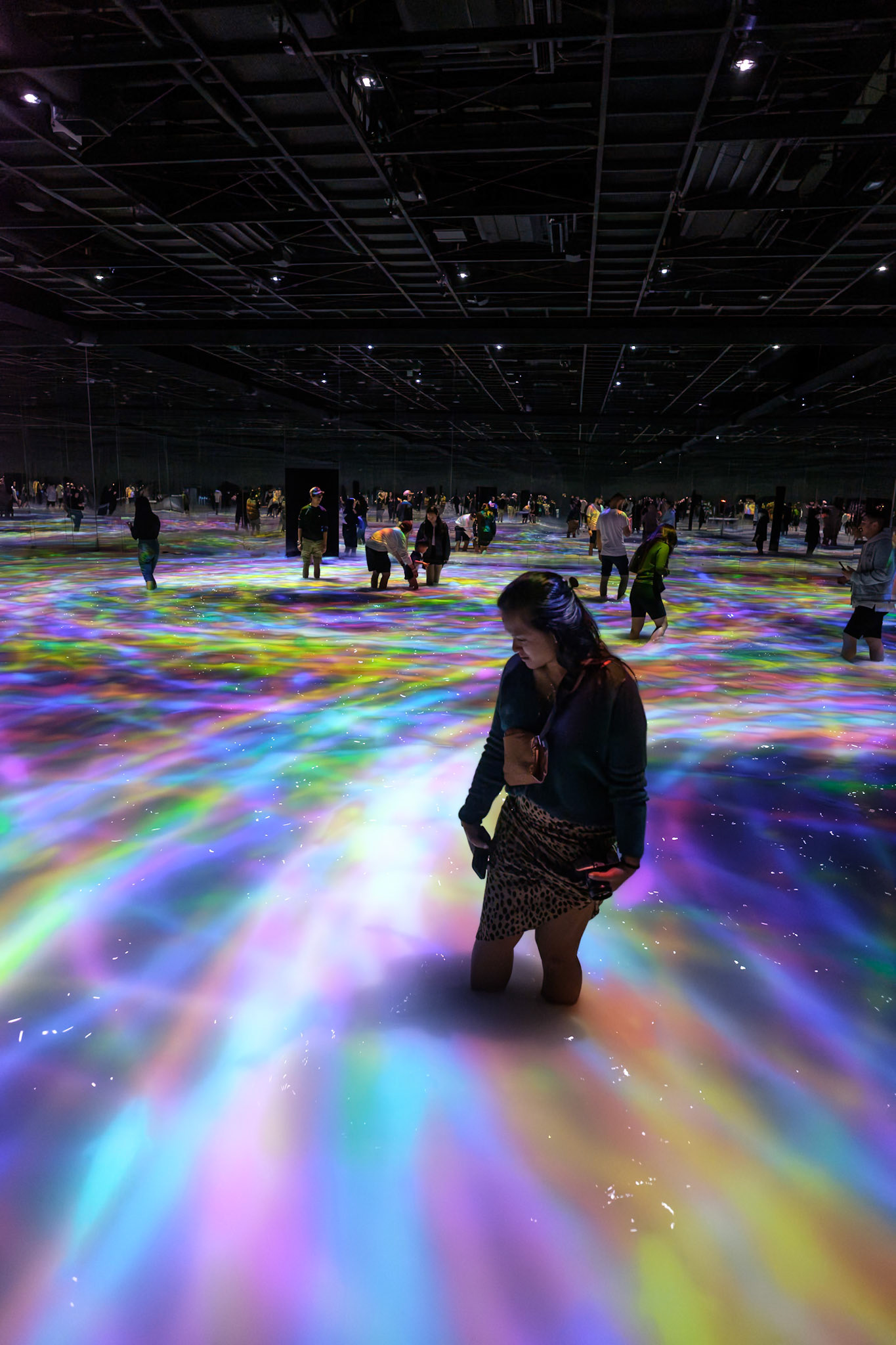 Team Lab, Tokyo, Japan - Fujifilm X-Pro2