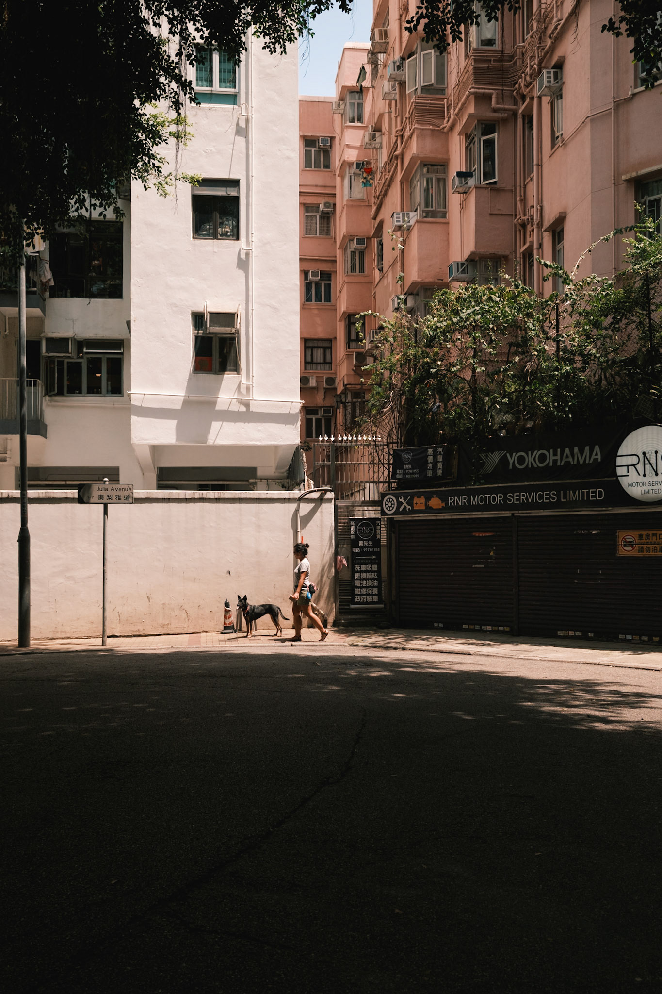 Walk in the park, Hong Kong - Fujifilm X100VI