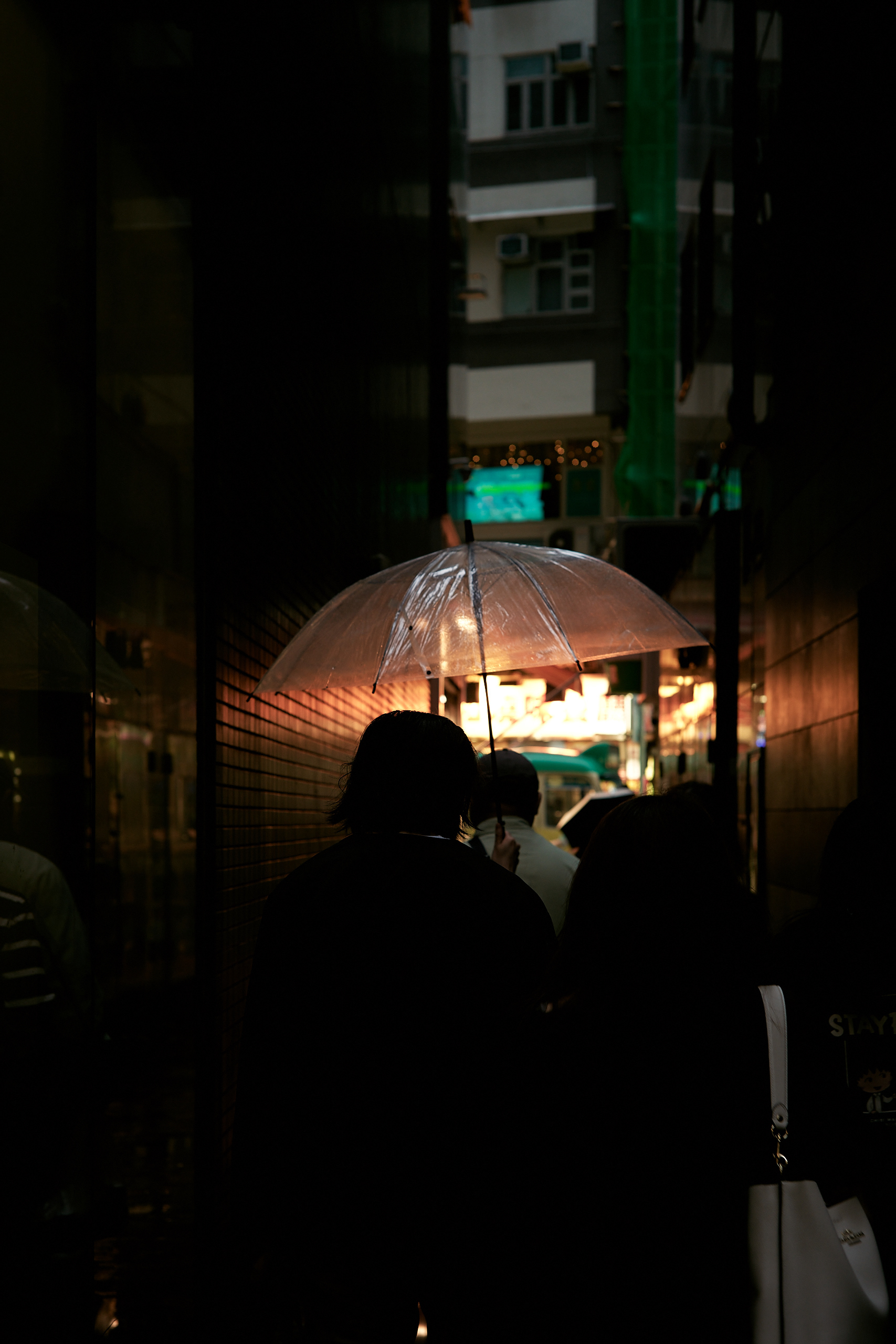 Leica M10-P Reporter + Zeiss C Sonnar 50mm f/1.5
