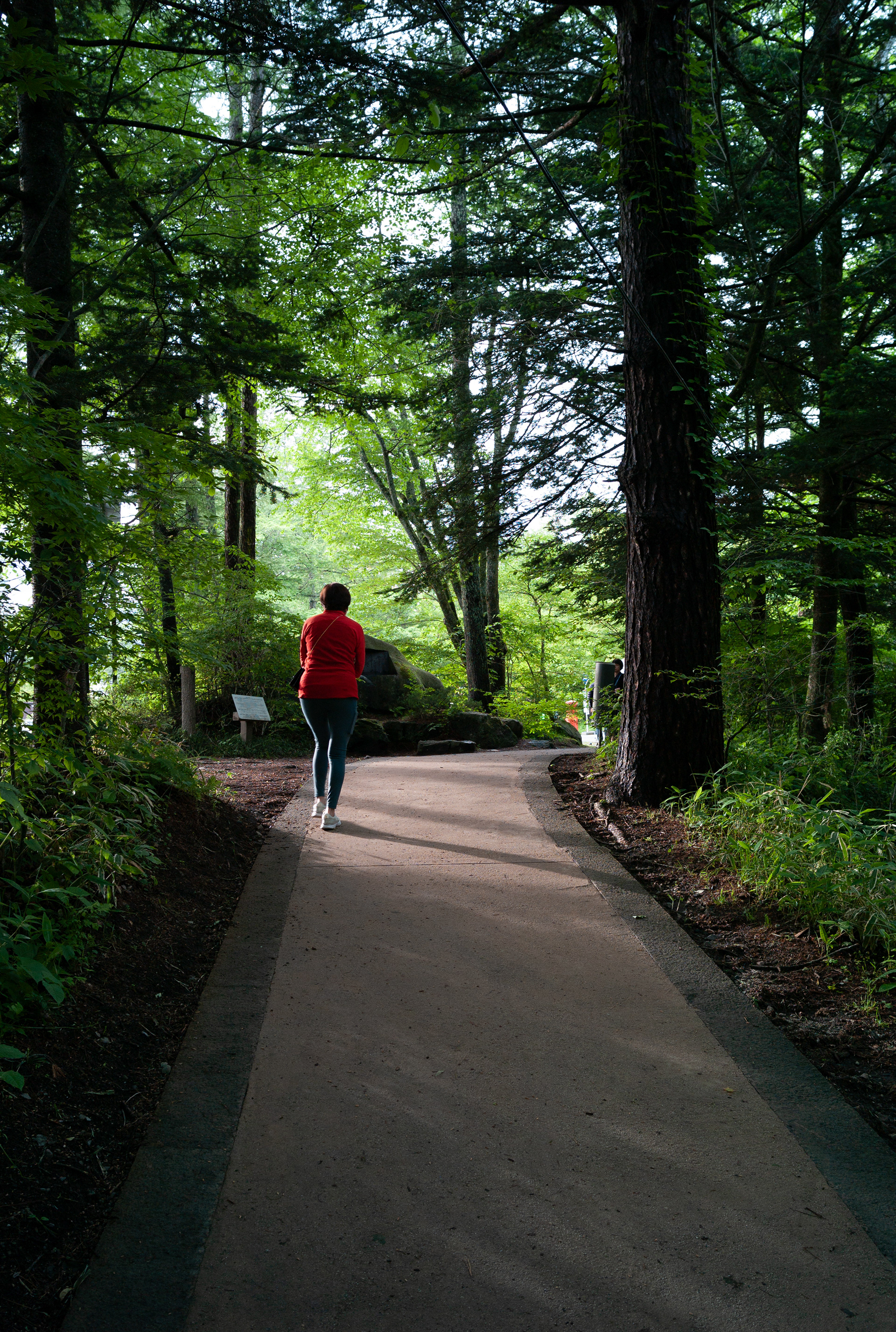 Karuizawa, Japan - Leica M8 - Thypoch Ksana 21mm F/3.5