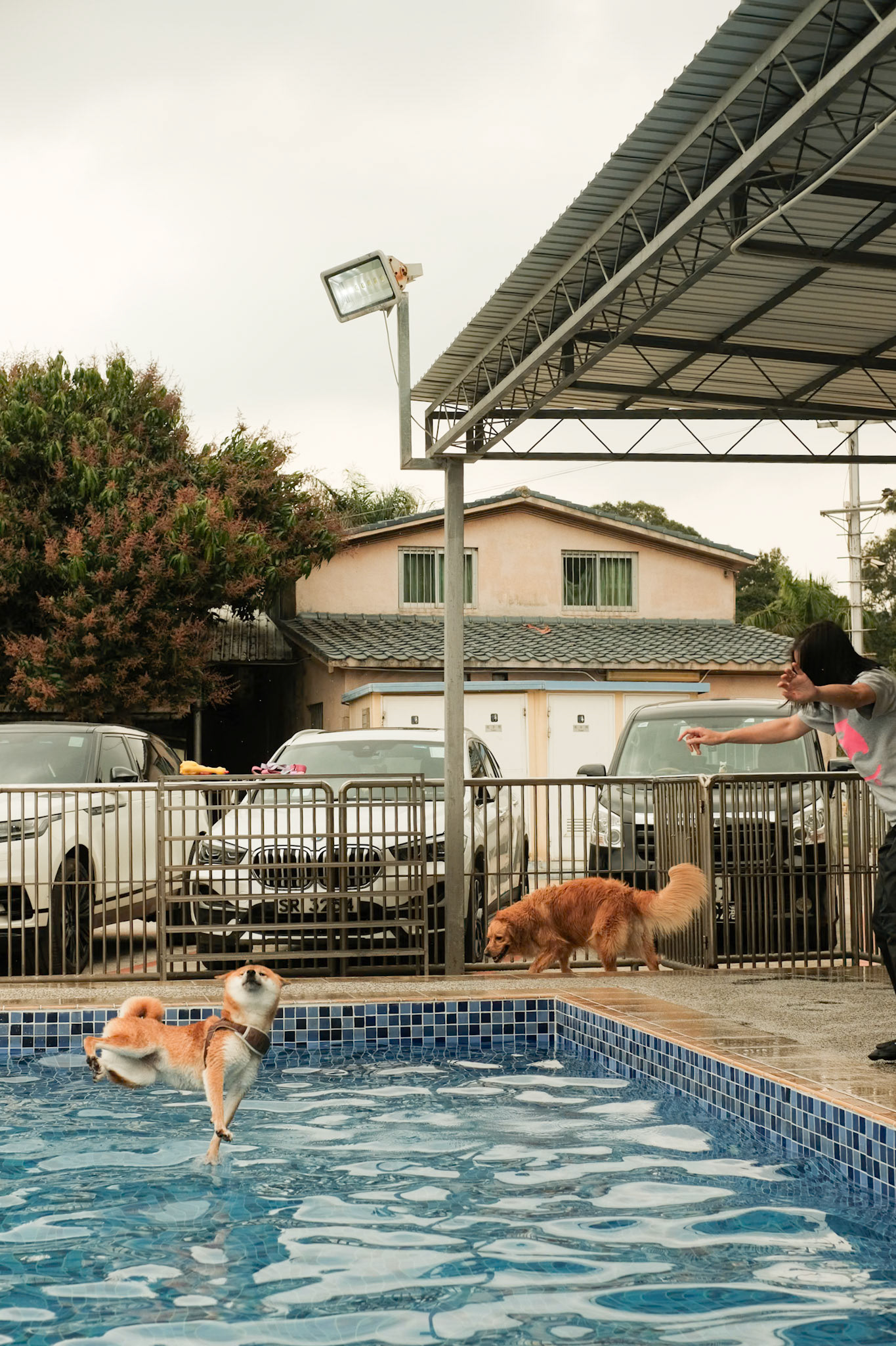 Weeee - Fujifilm X-Pro2