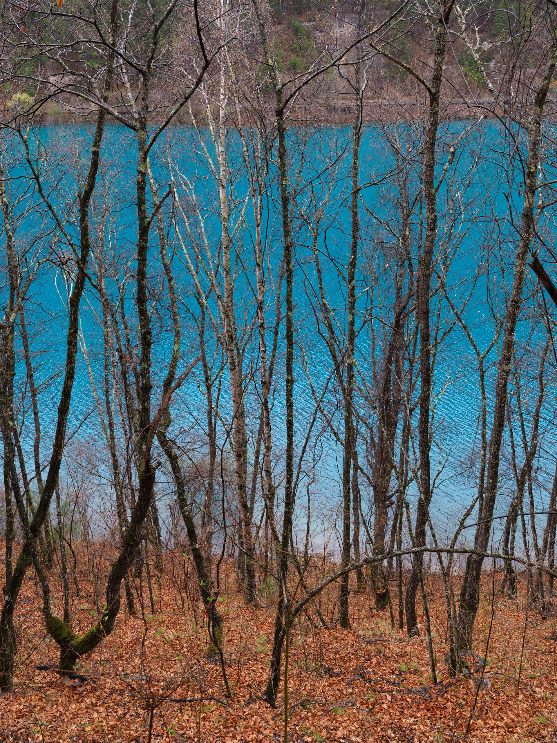 Jiuzhaigou, China - Hasselblad X2Dii + XCD 35-100e