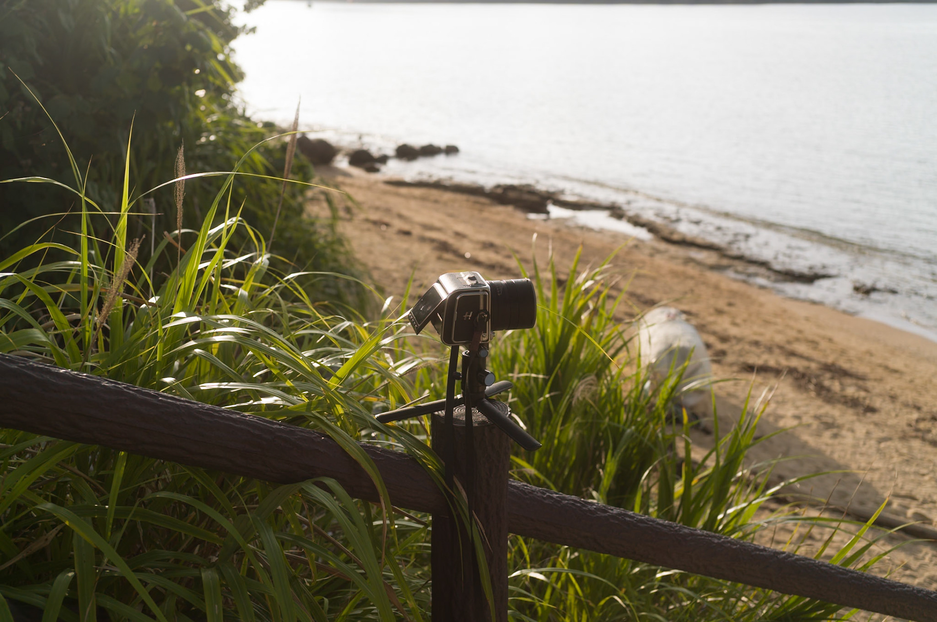 Hasselblad 907x on a beach, Okinawa, Japan - Leica M11-P