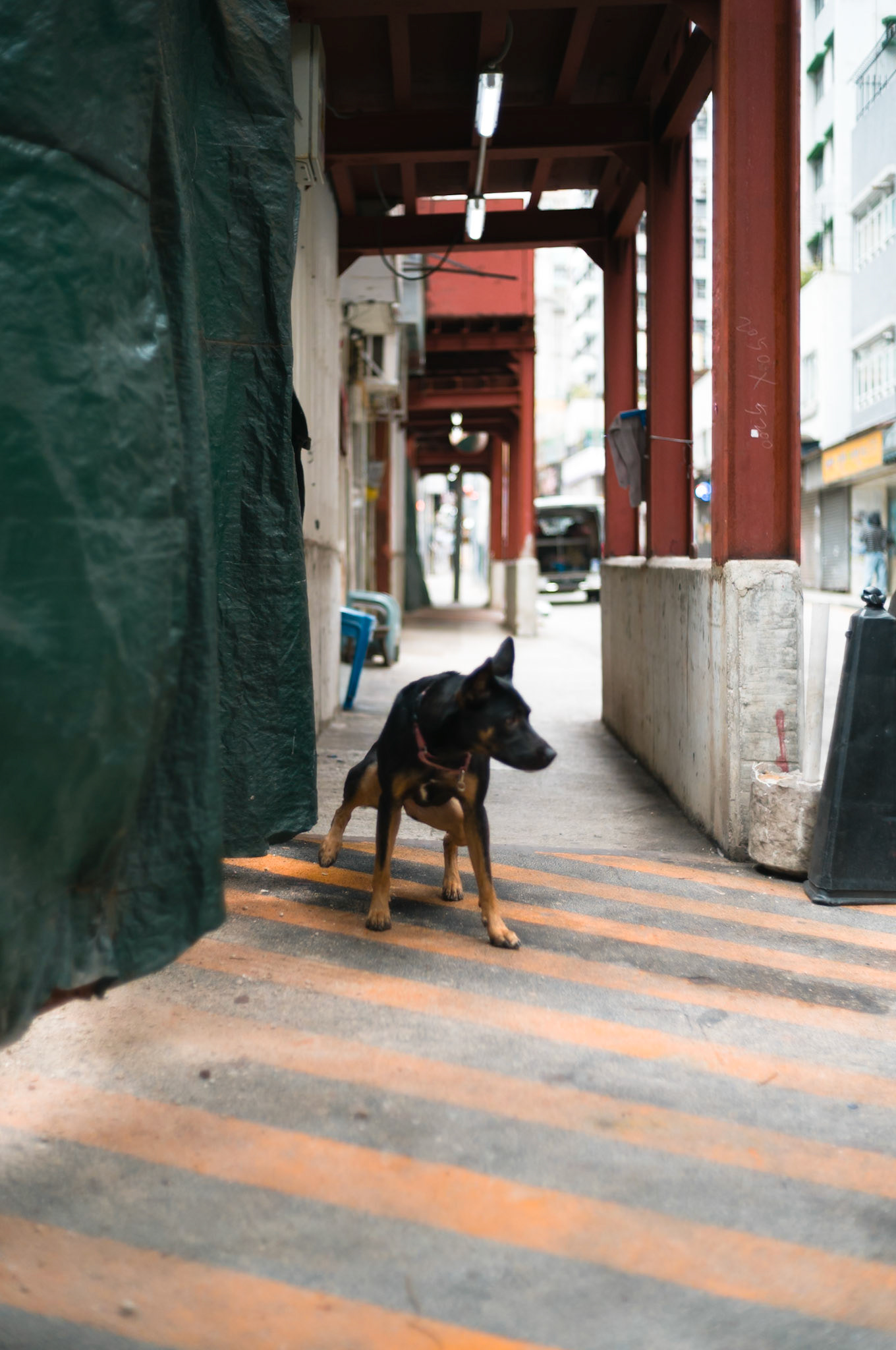 Pee, Hong Kong - Leica M11-P