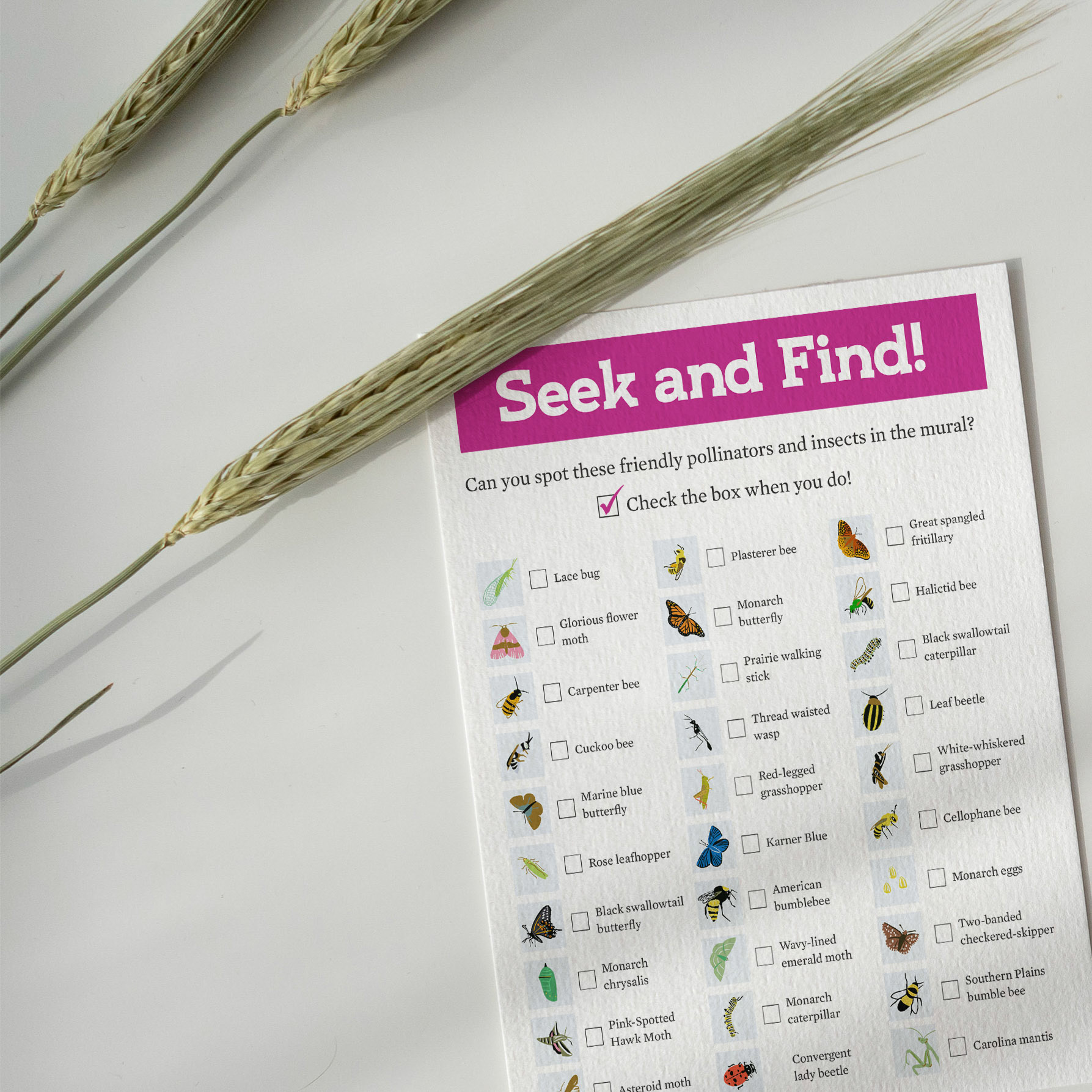 Kids Seek and Find