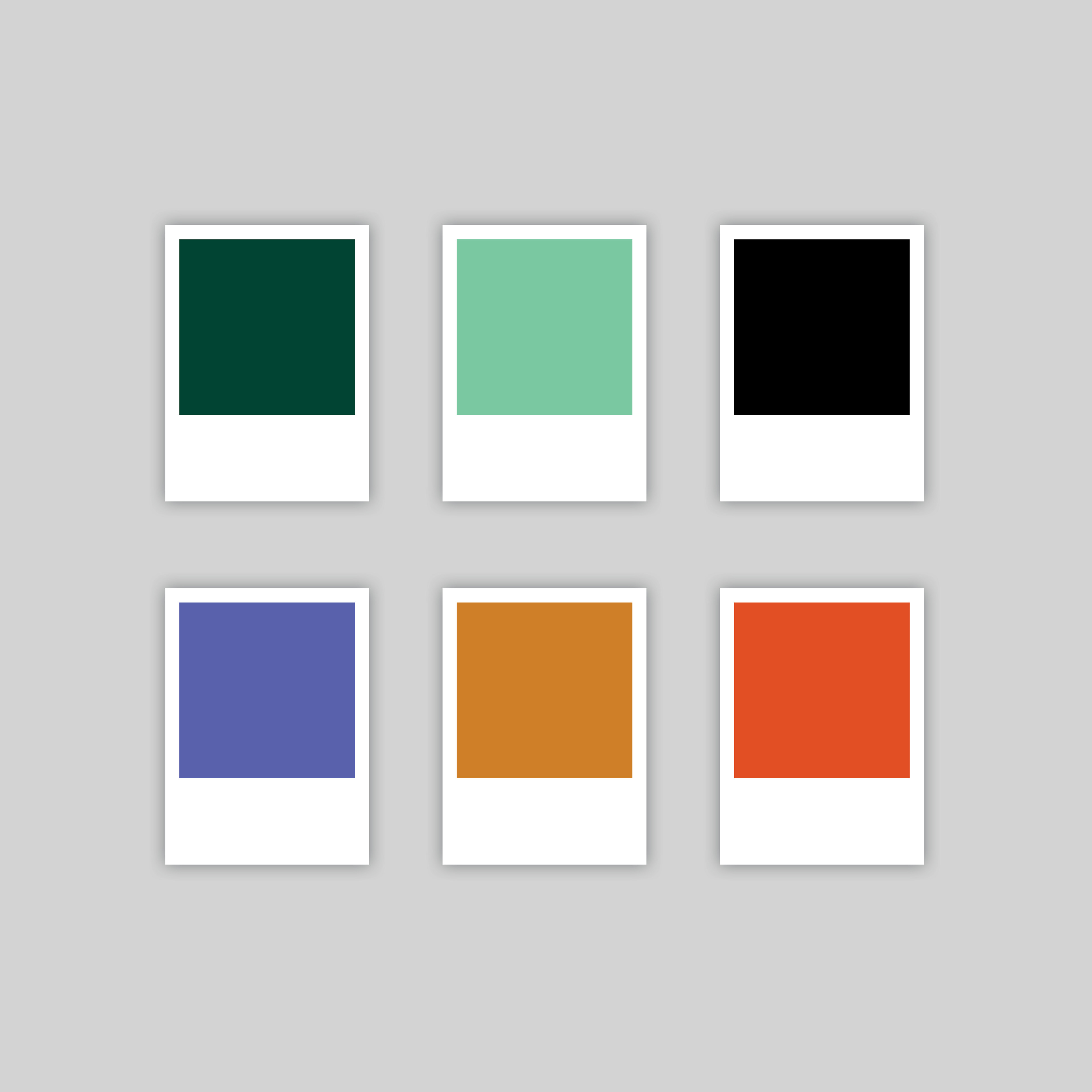 Color Palette