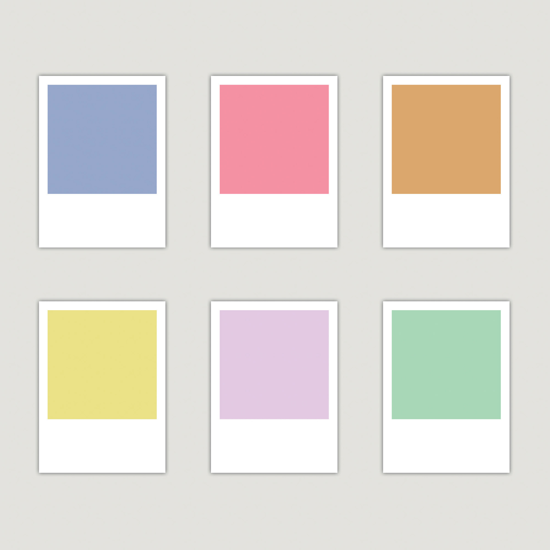 Color Palette