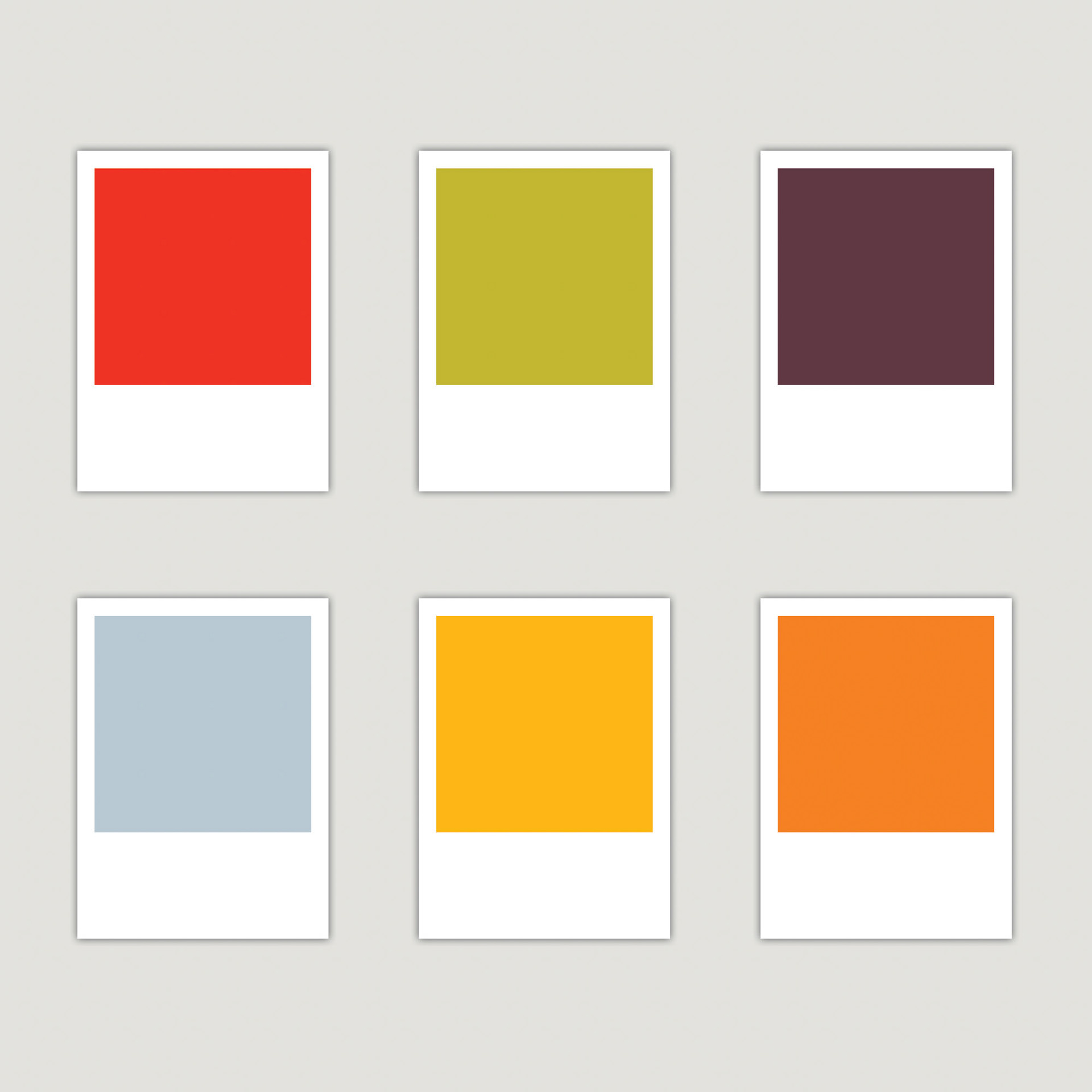 Branding Color Palette