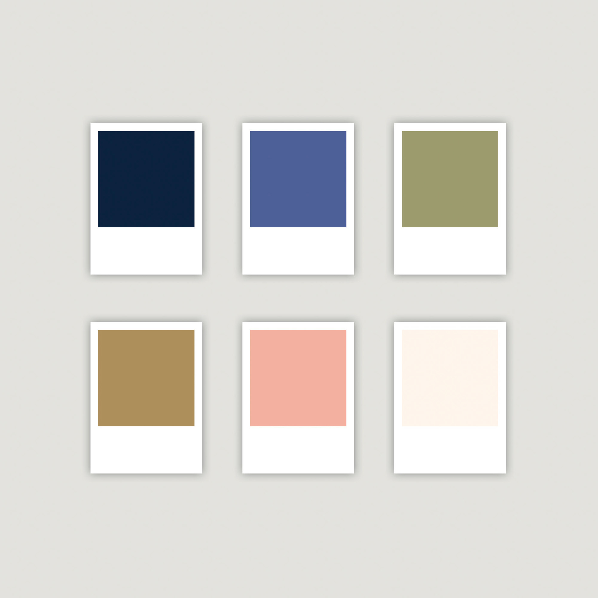 Color Palette