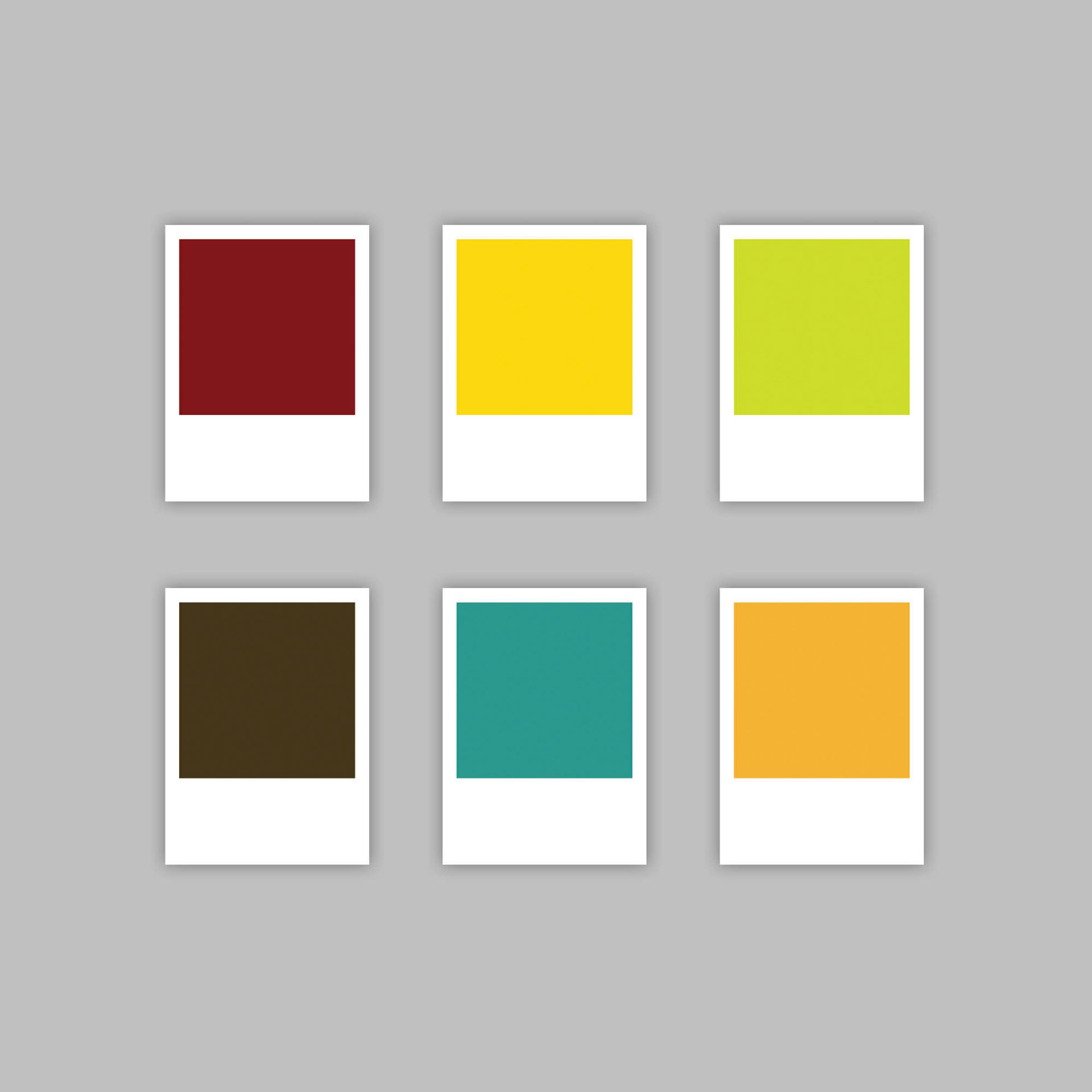 Color Palette
