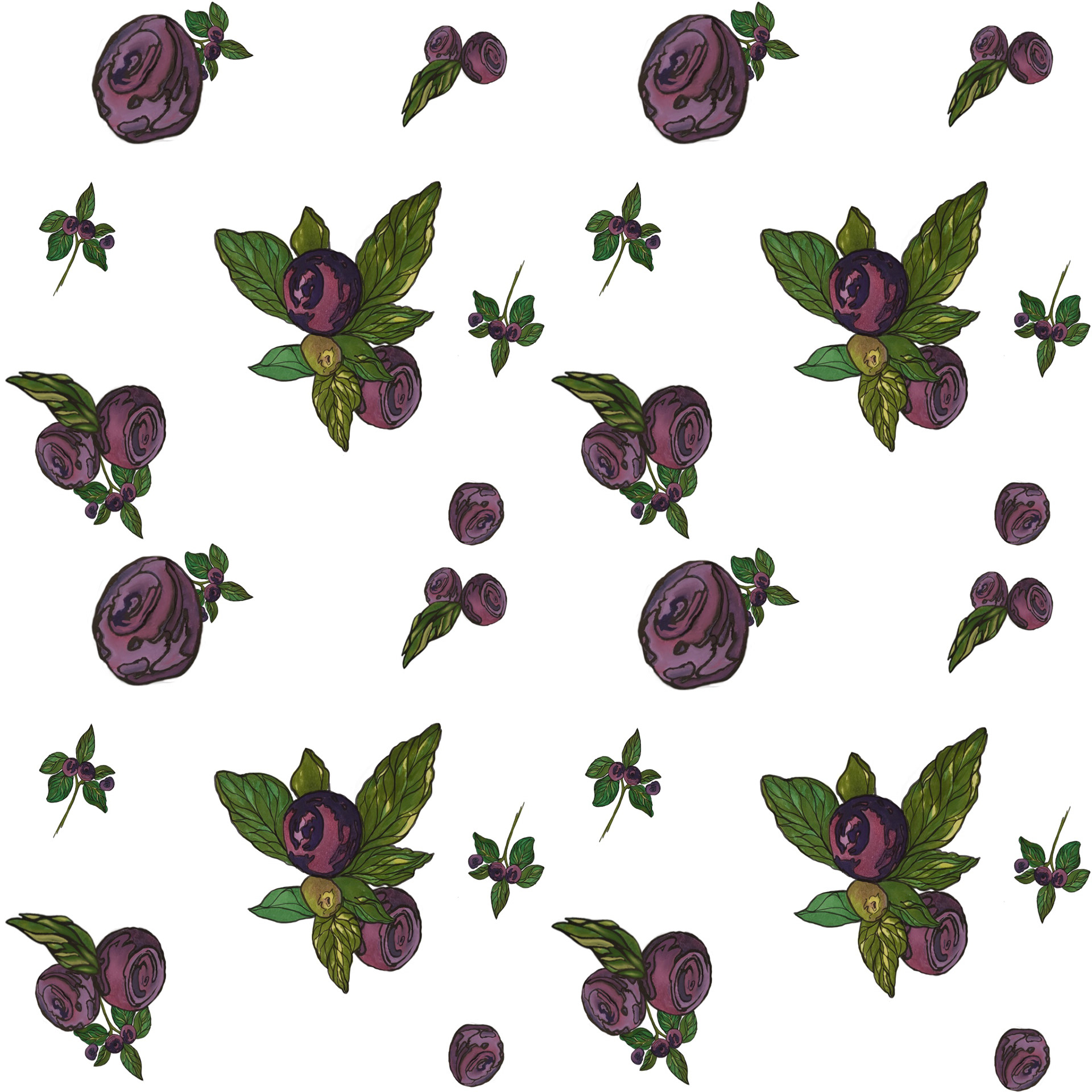 Huckleberry Scatter