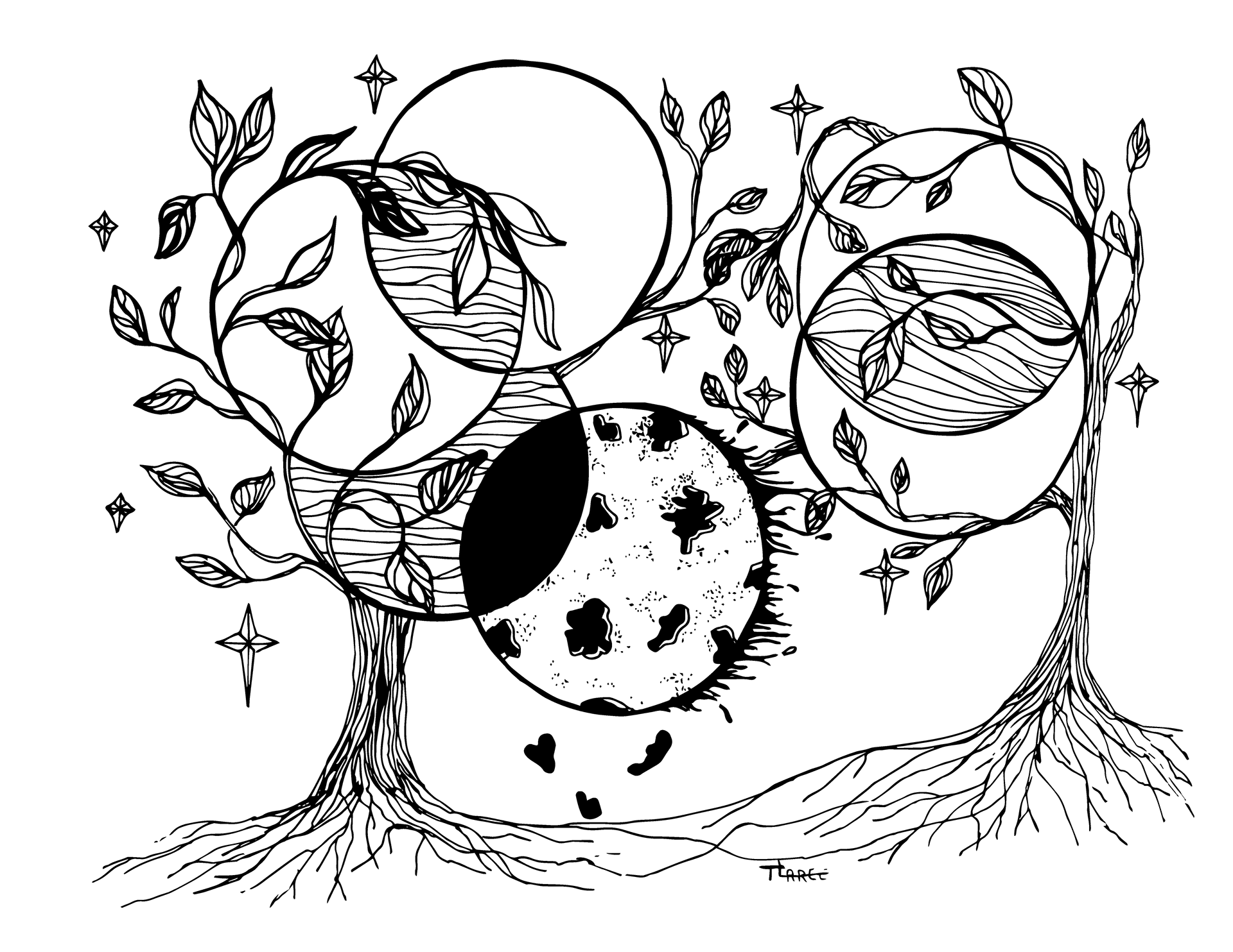 Planetary Roots