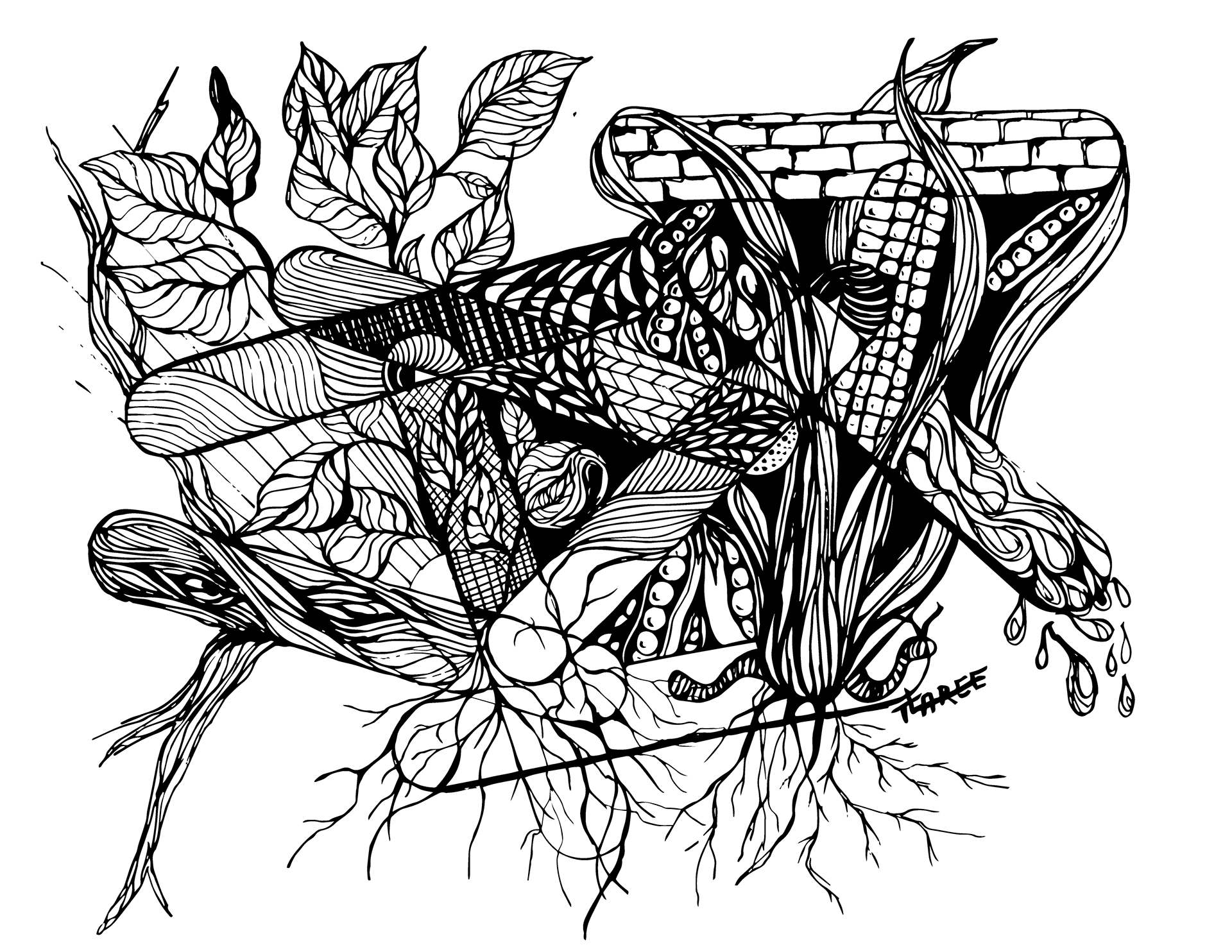 Growth