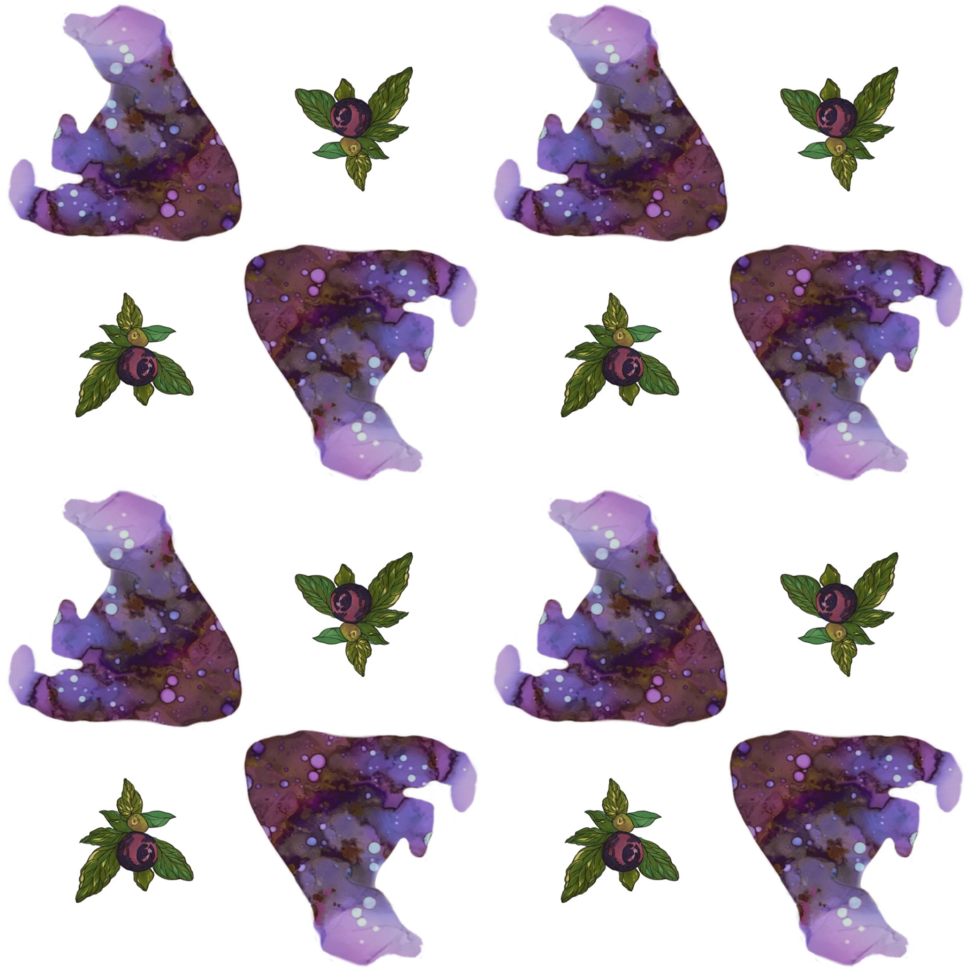 Berries and Bears