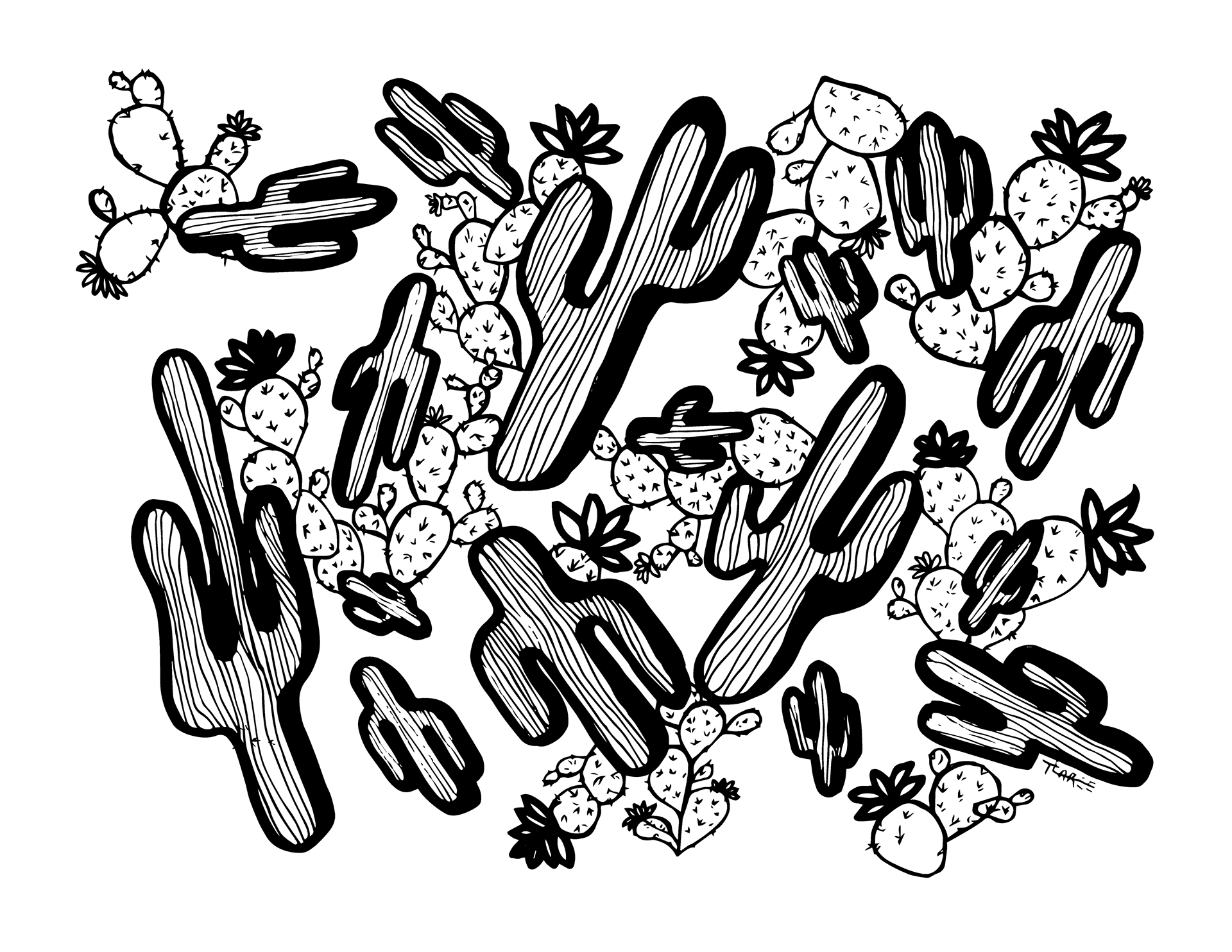 Cacti