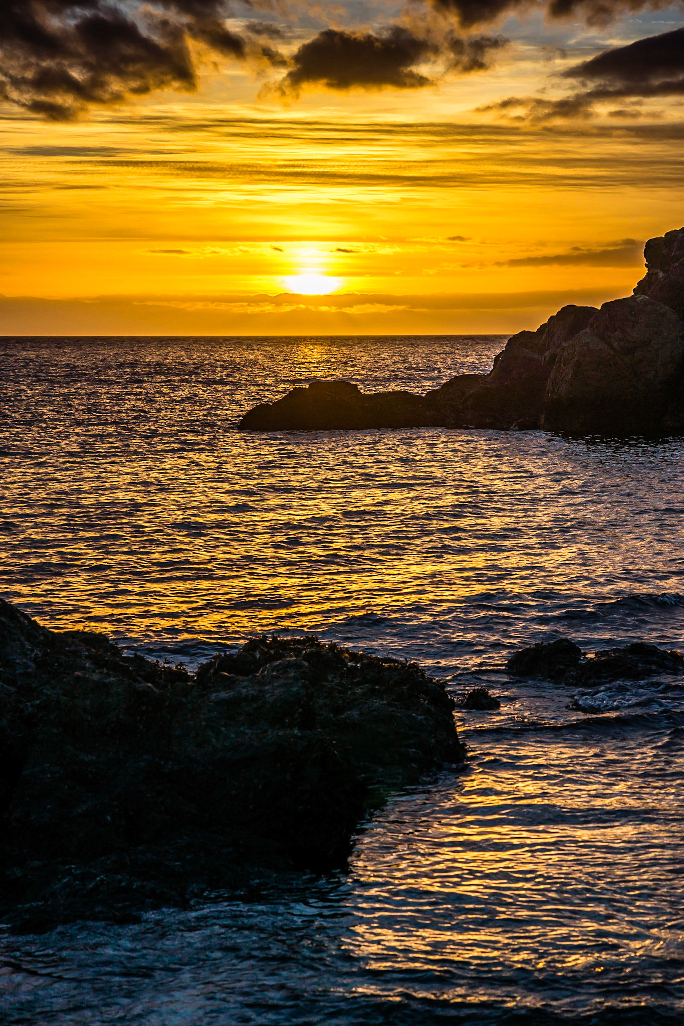Grandmas Cove - Friday Harbor San Juan Island Washington