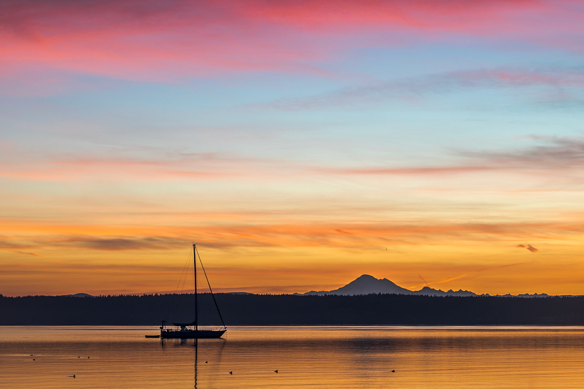 Old Town Lagoon - Friday Harbor San Juan Island Washington