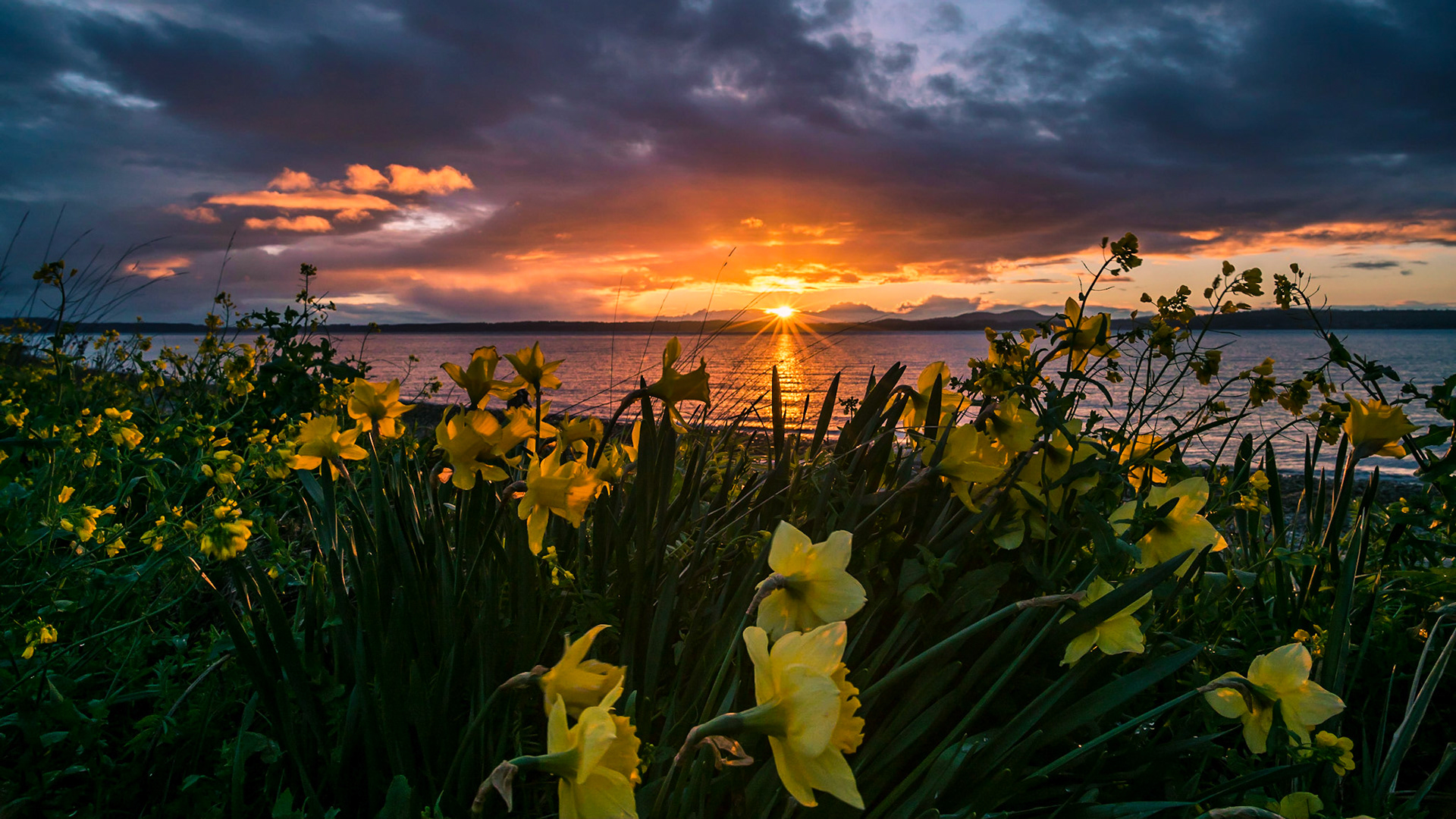 Otis Perkins Day Park - Lopez Island Washington