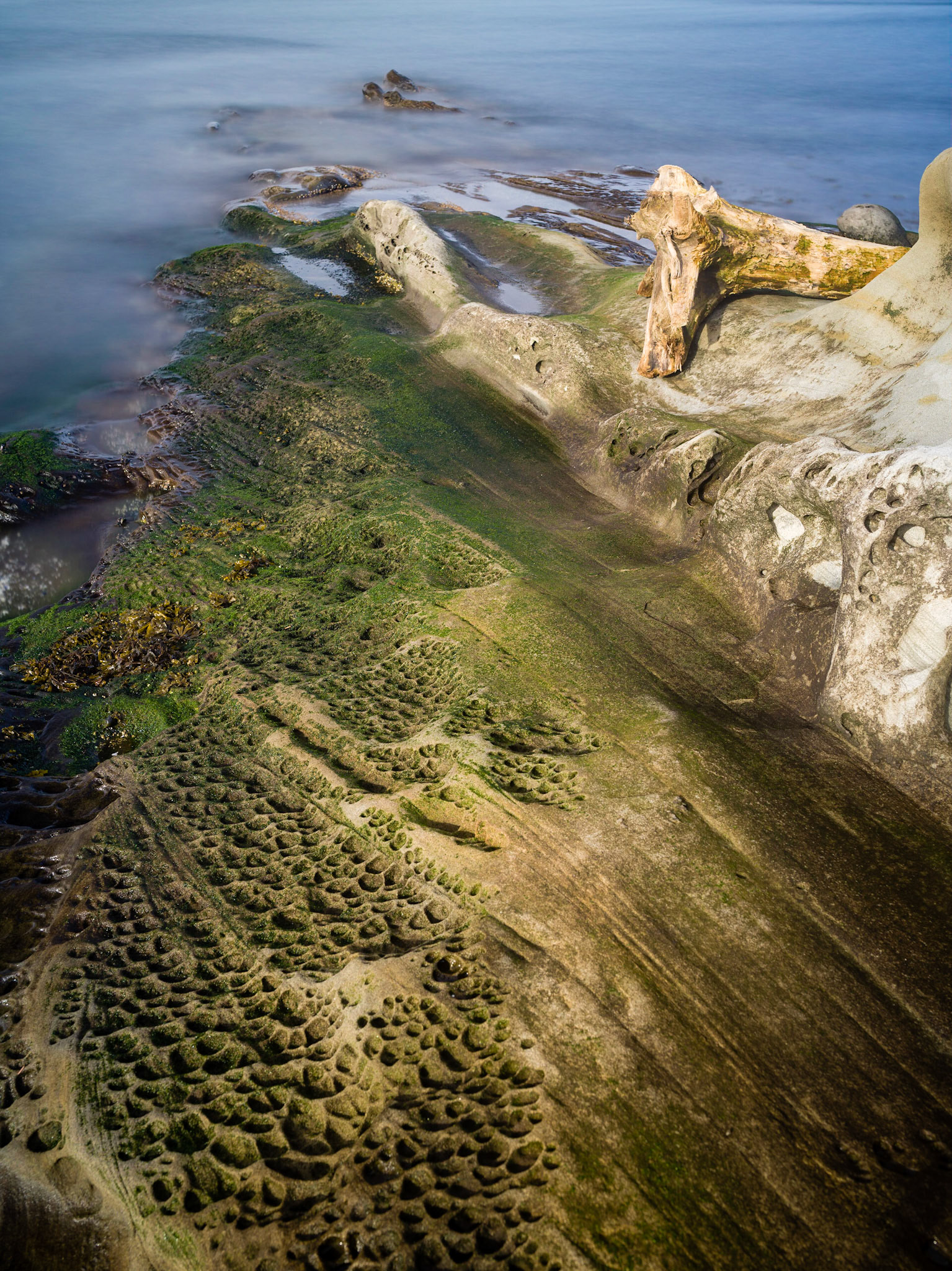 Patos Island San Juan Islands - Washington