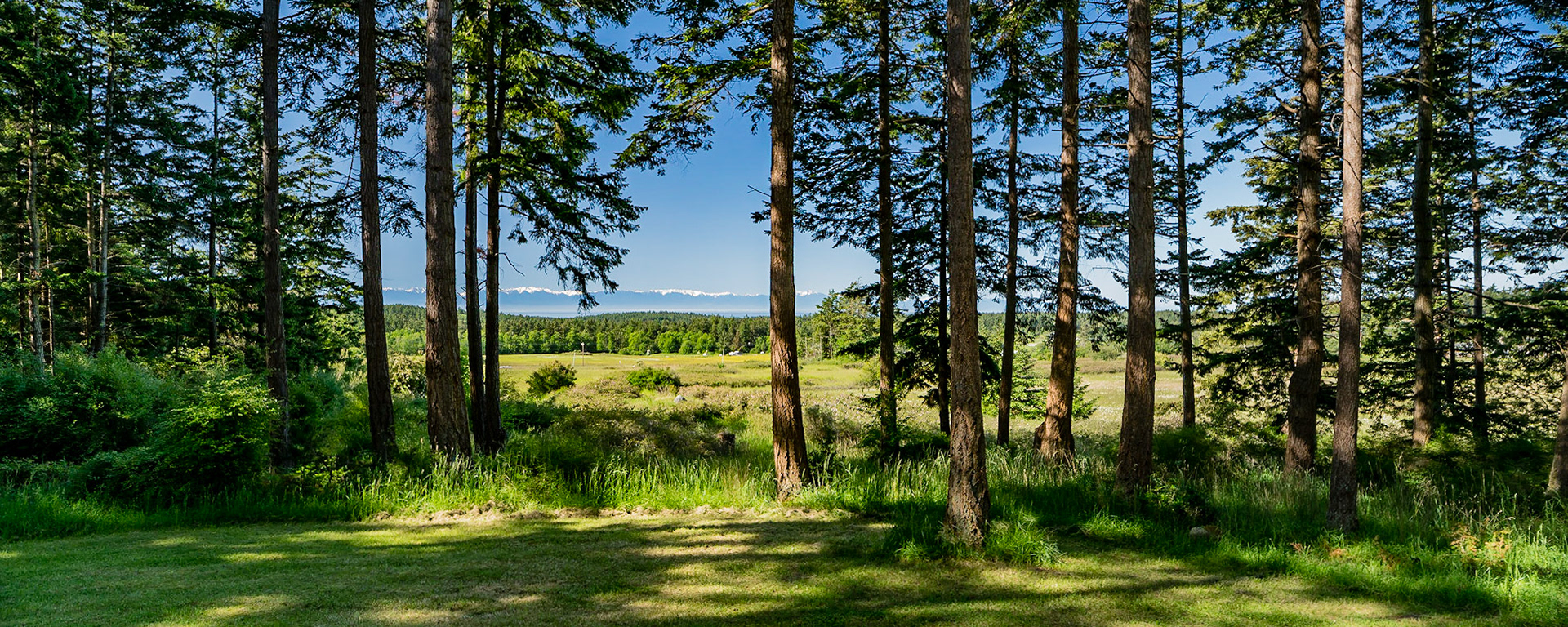Lopez Island Washington