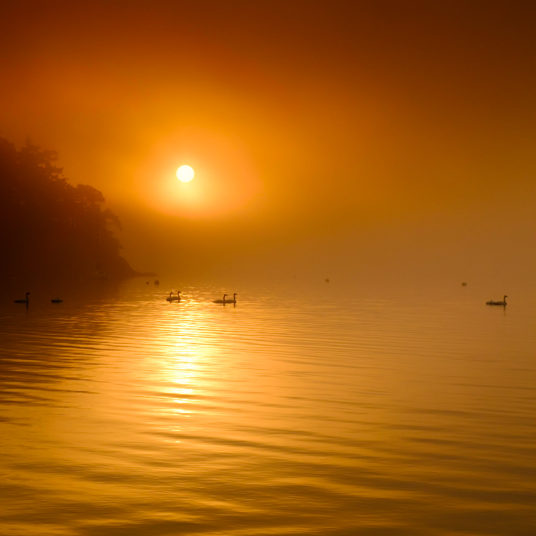 MacKaye Harbor - Lopez Island Washington