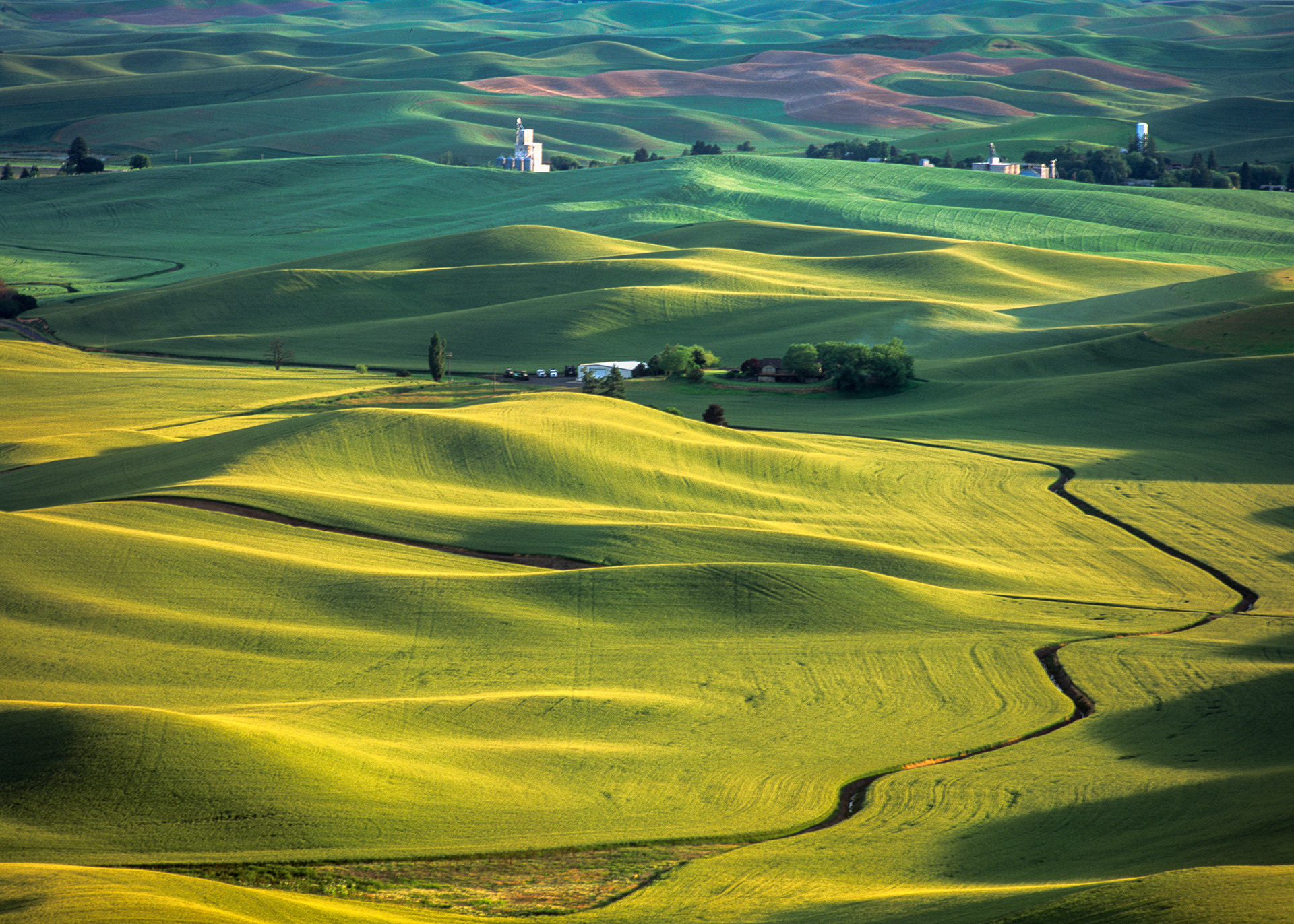 Fujifilm Velvia 50