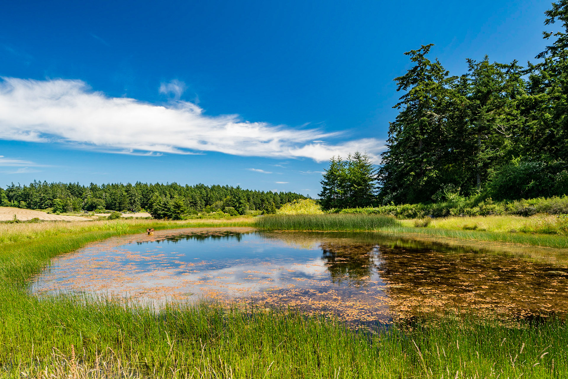 Lopez Island Washington