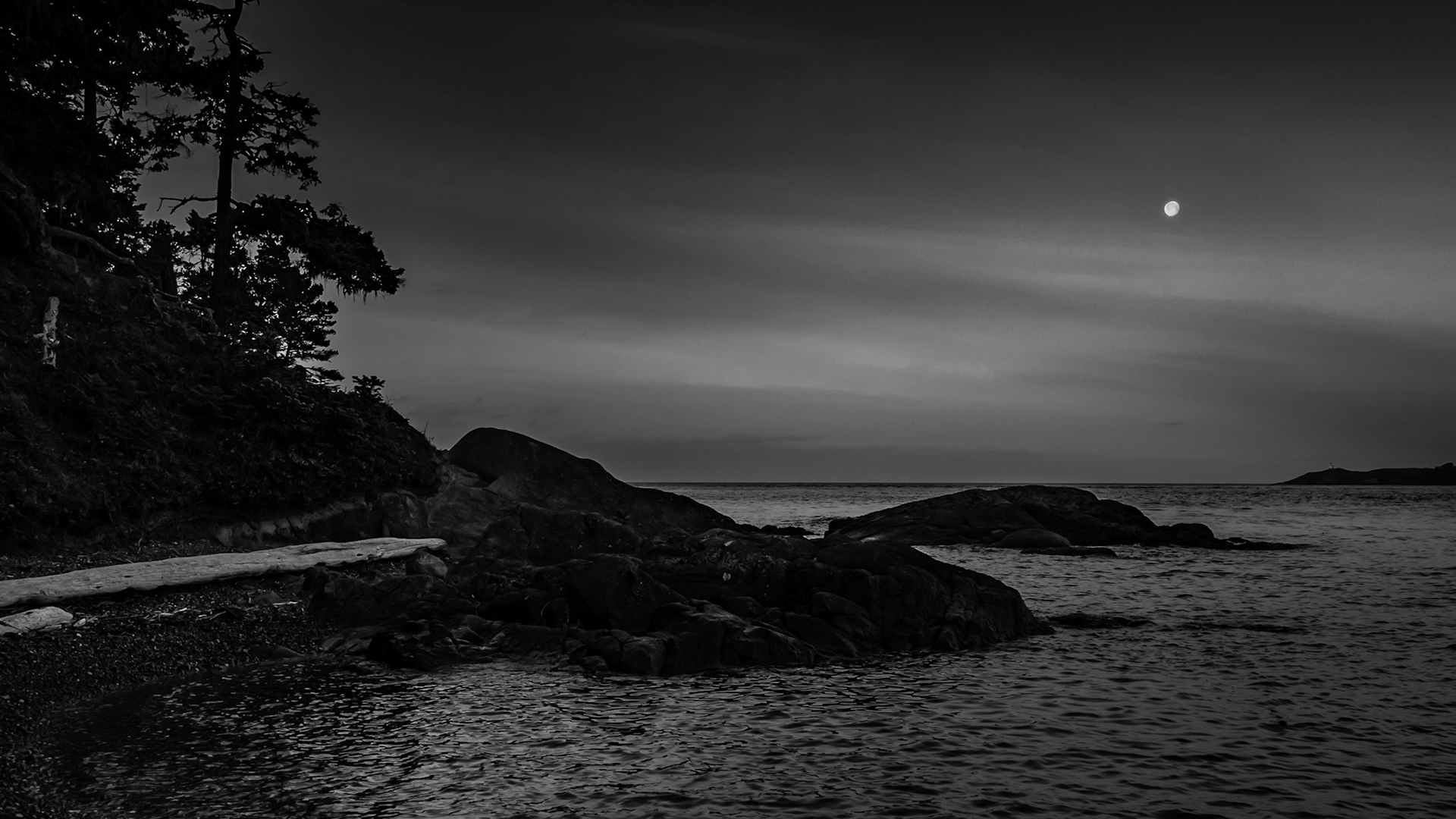 Shark Reef - Lopez Island Washington