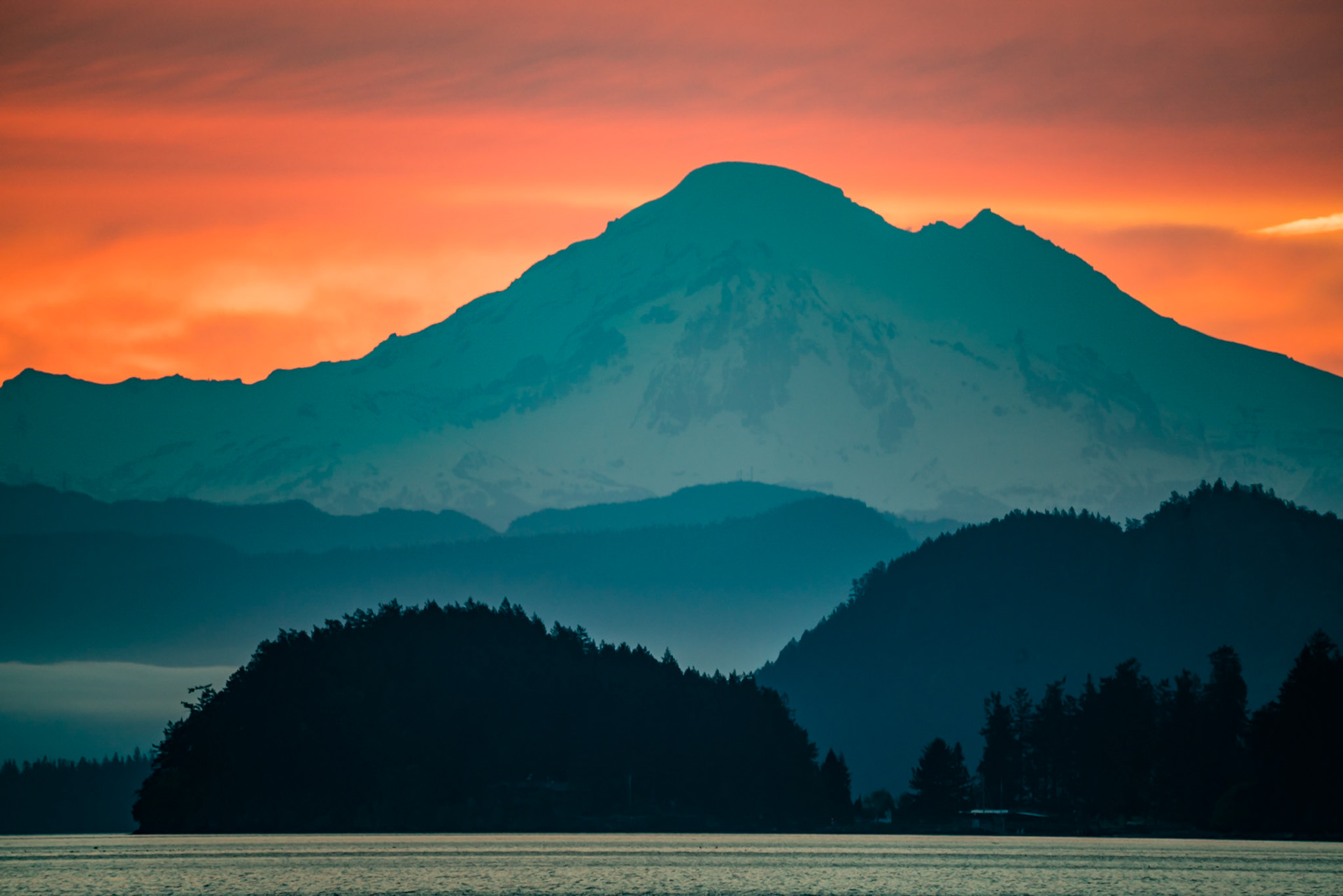Upright Head - Lopez Island Washington