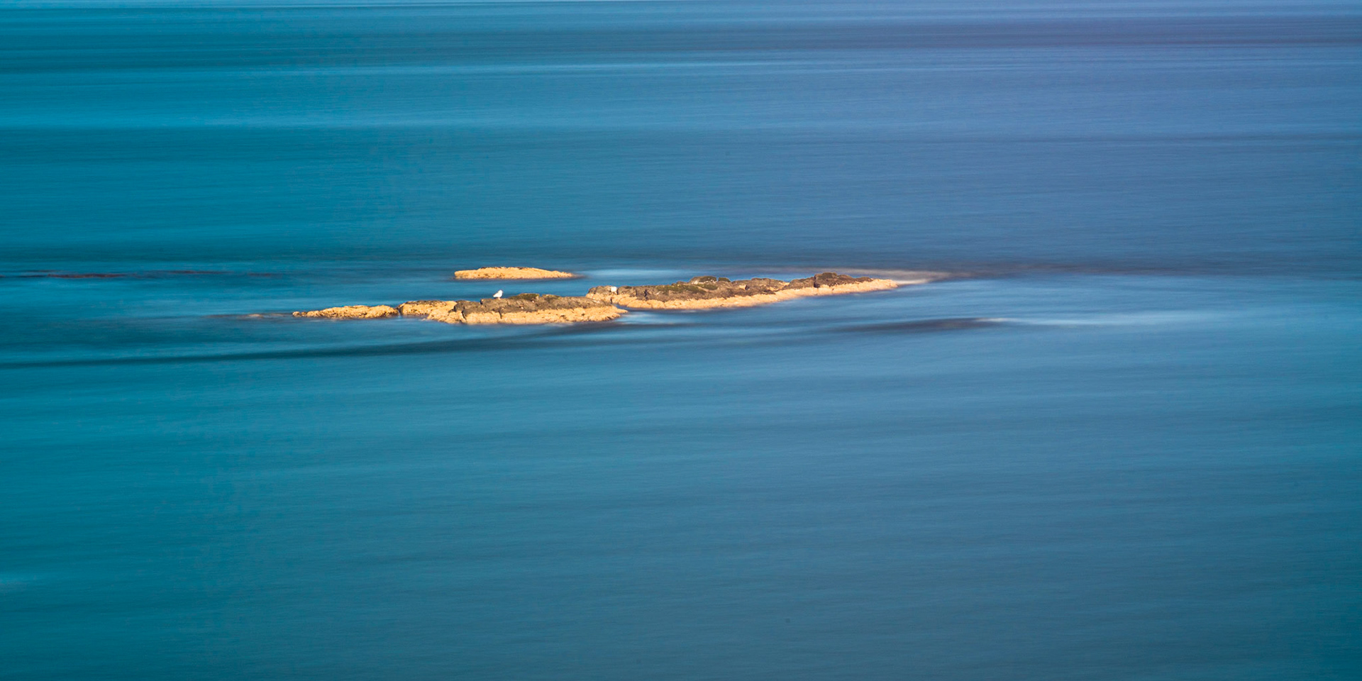 Shark Reef - Lopez Island Washington
