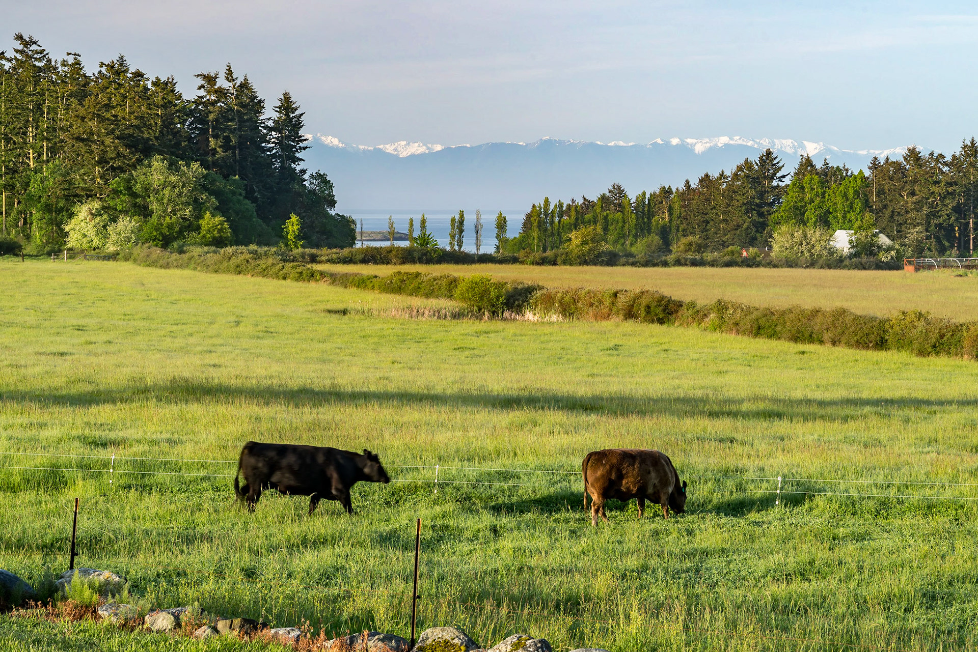 Lopez Island Washington