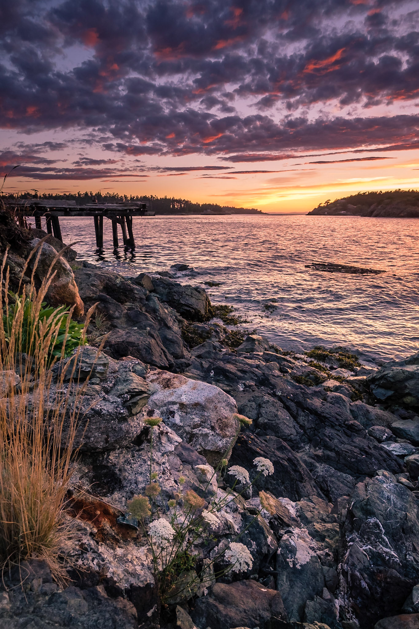 Richardson - Lopez Island Washington