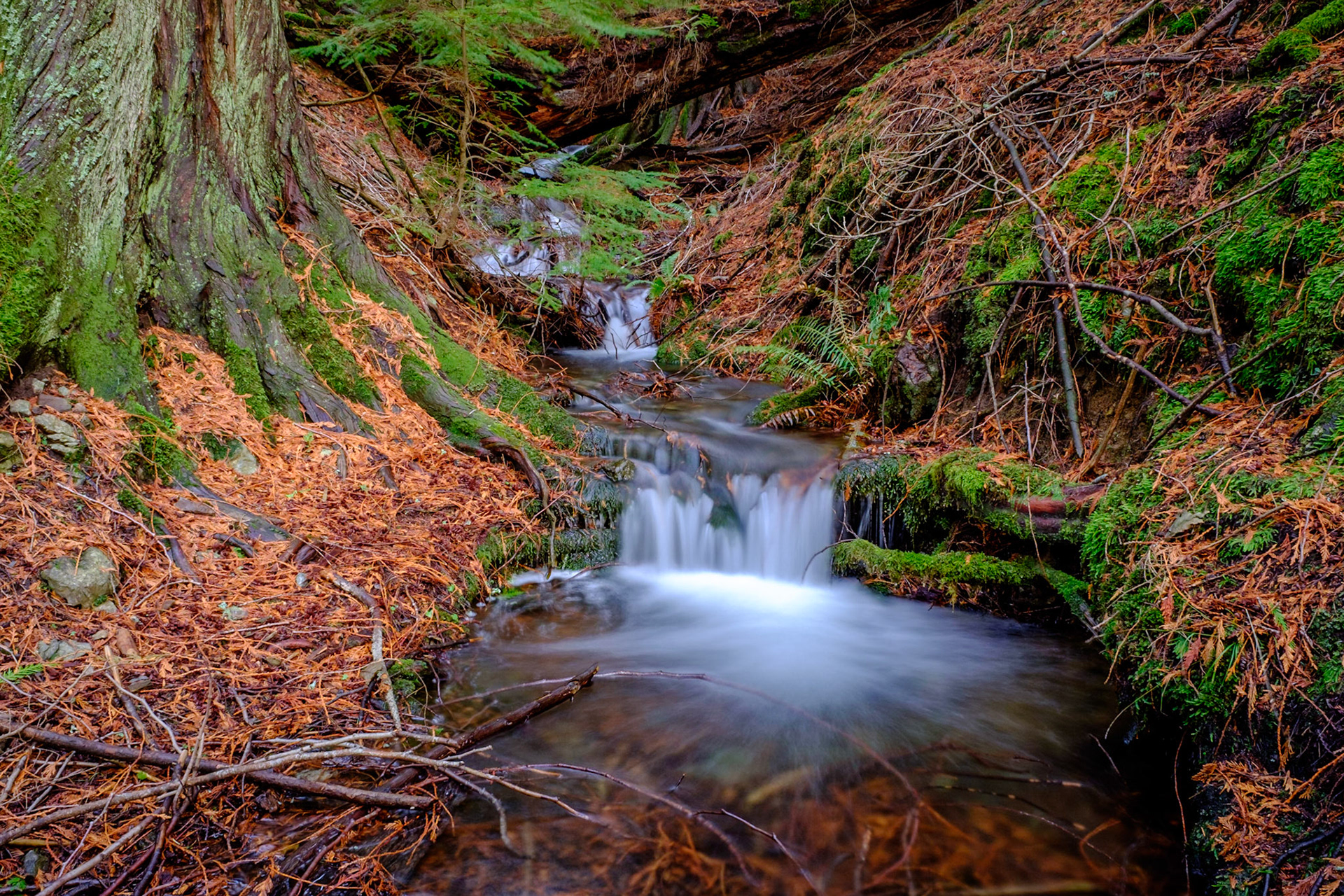 Moran State Park - Orcas Island Washington