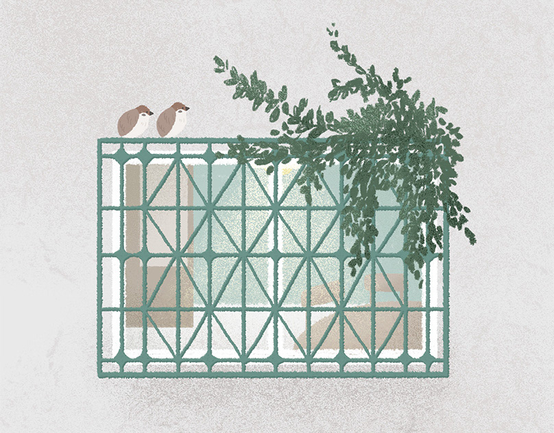 台灣鐵窗花插畫