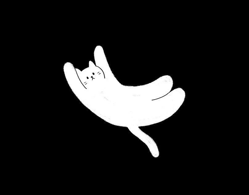白色貓貓插圖