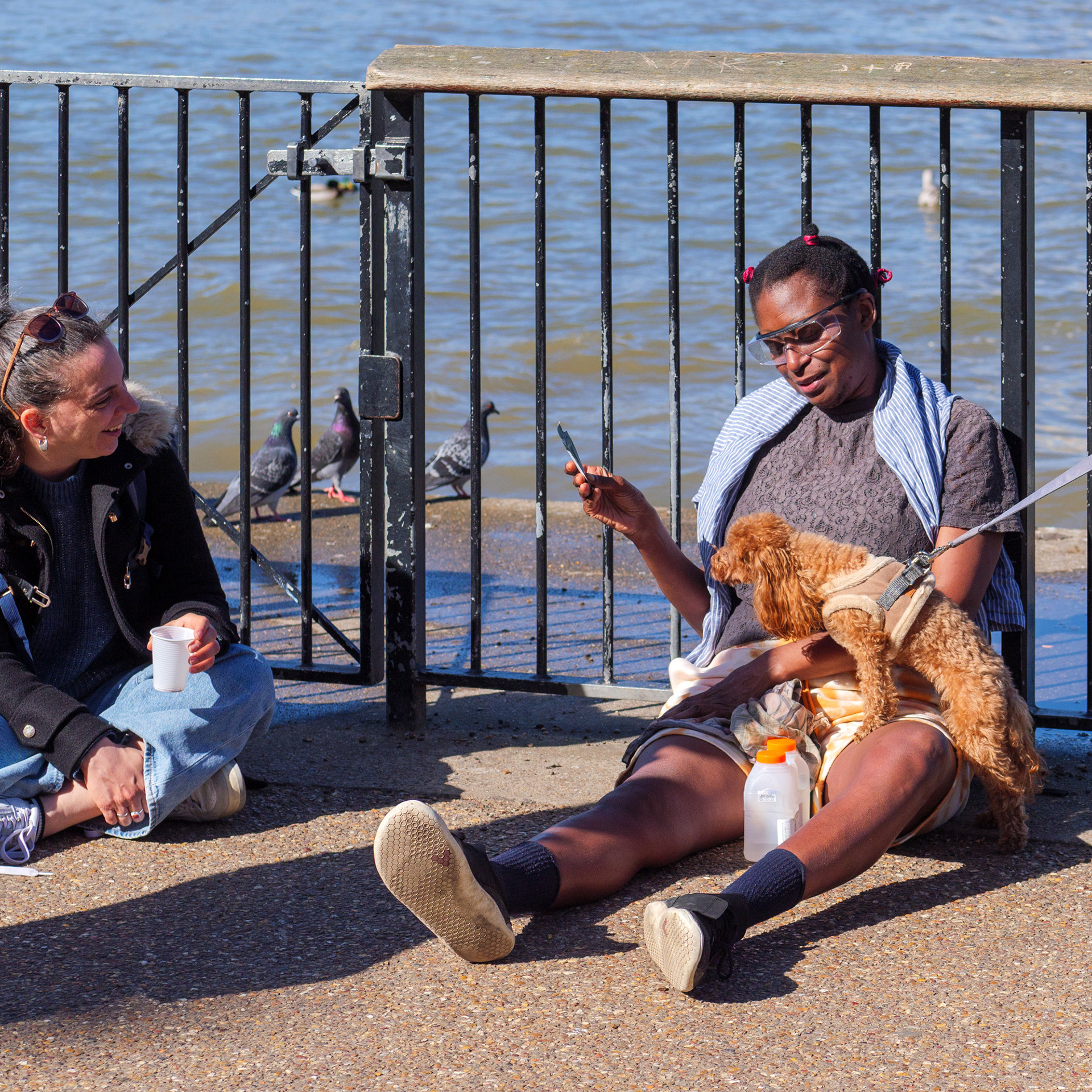 Two women sitting by the Thames at South Bank admire an inquisitive tan poodle, pulling on its lead