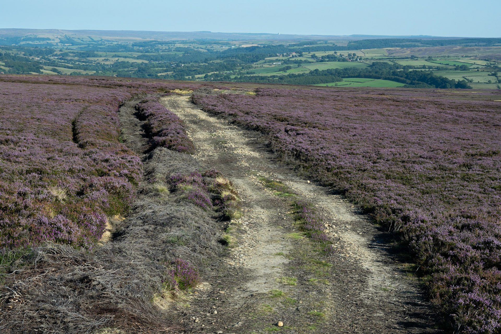 Beacon Path (2022)