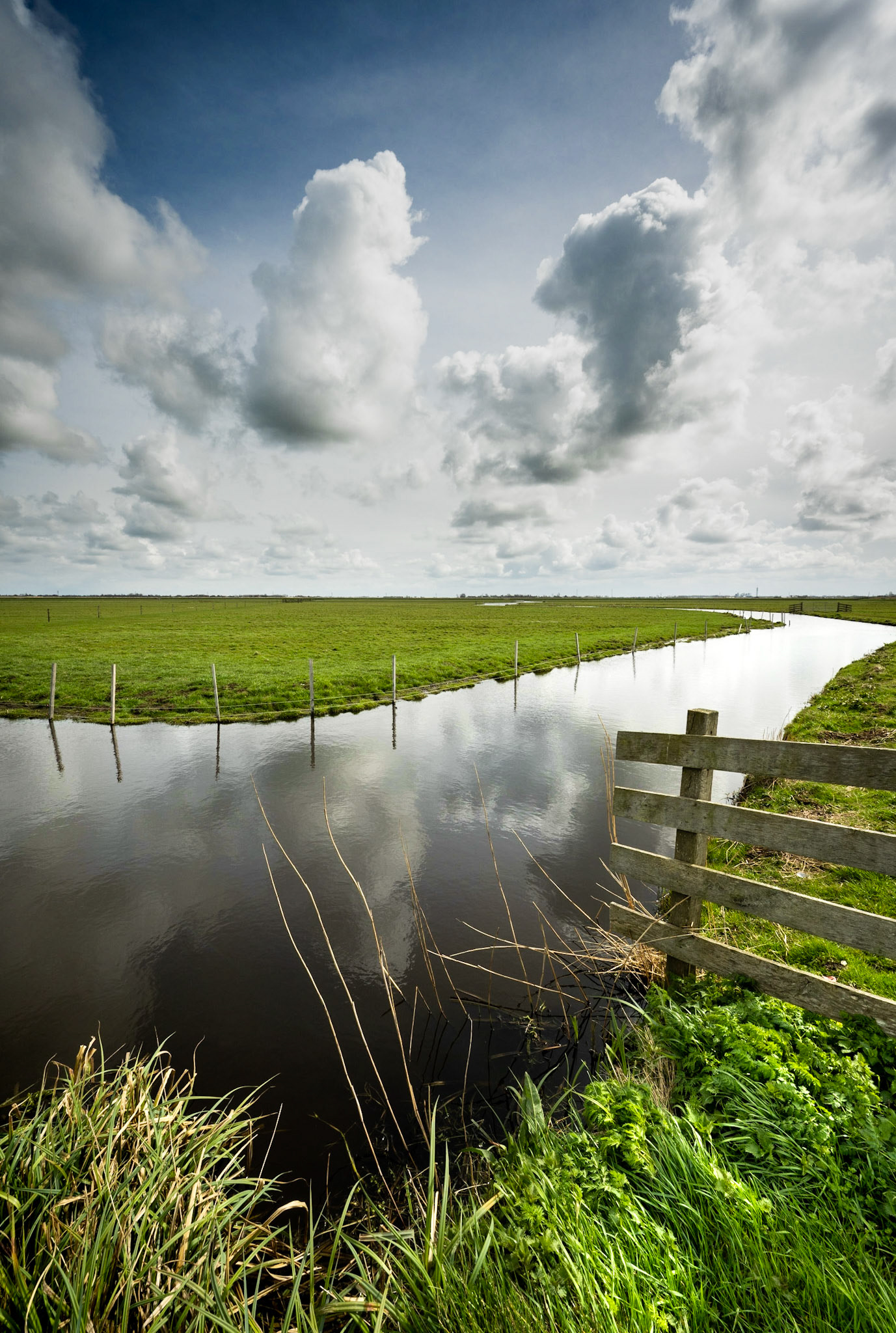 Hempolder (2022)