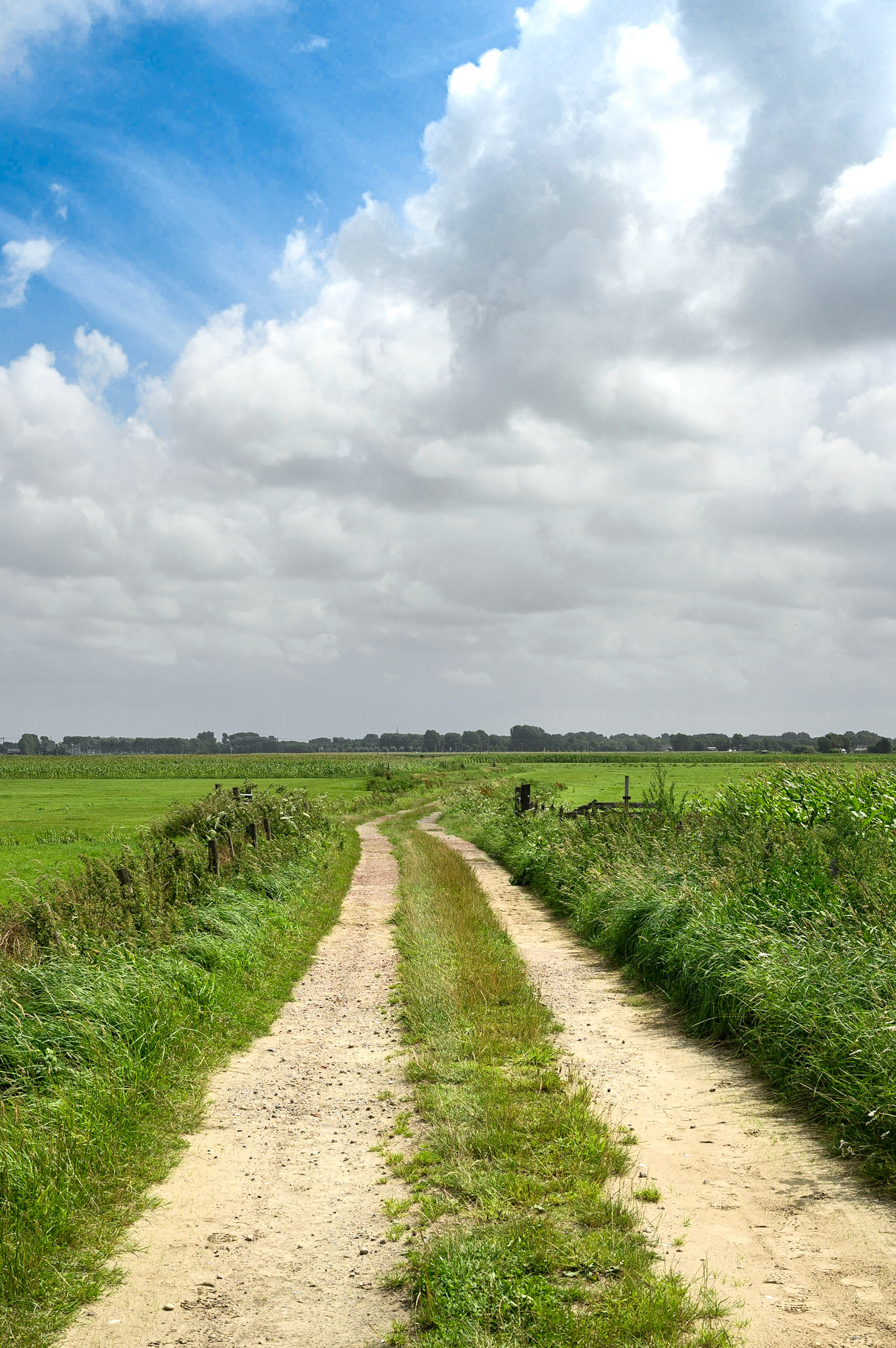Road to Nowhere (2021)