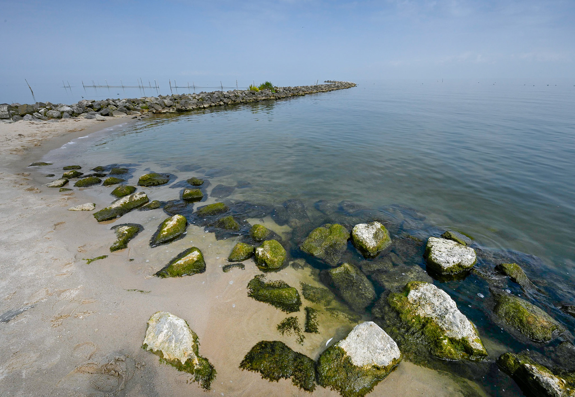 Markerwaarddijk (2021)