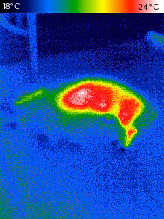 Where Sykes lay - latent heat in rug