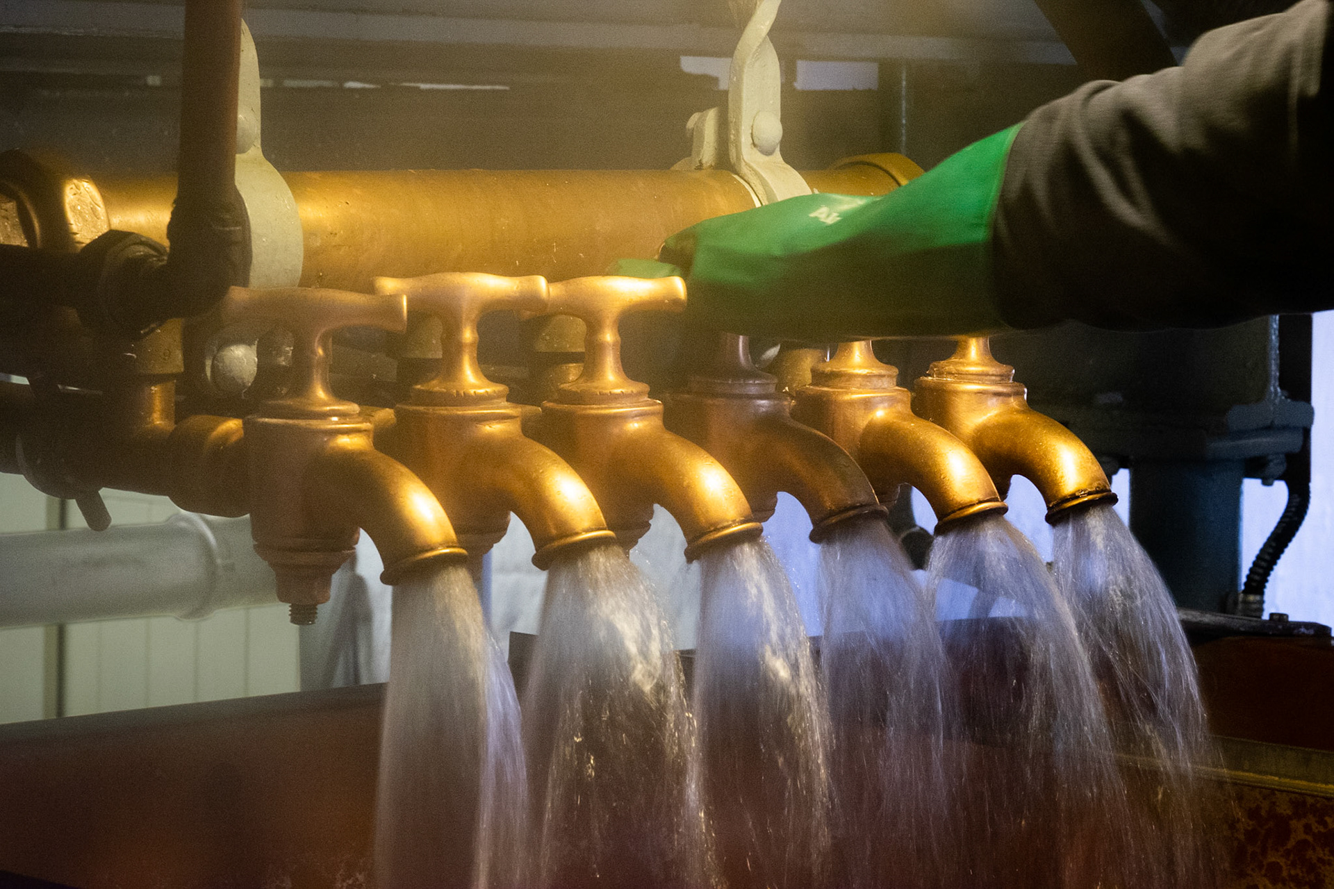 Palmer's Brewery, Bridport